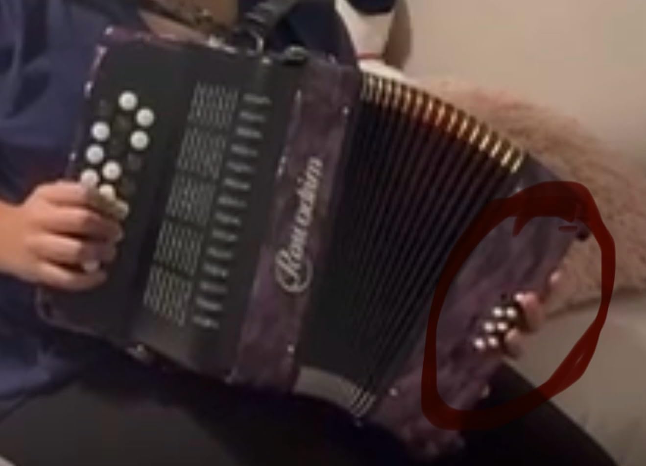 Accordion 22 keys 8 bass, lightweight piano accordion for beginners, vibrant design for beginners and adults for easy learning customer photo 2