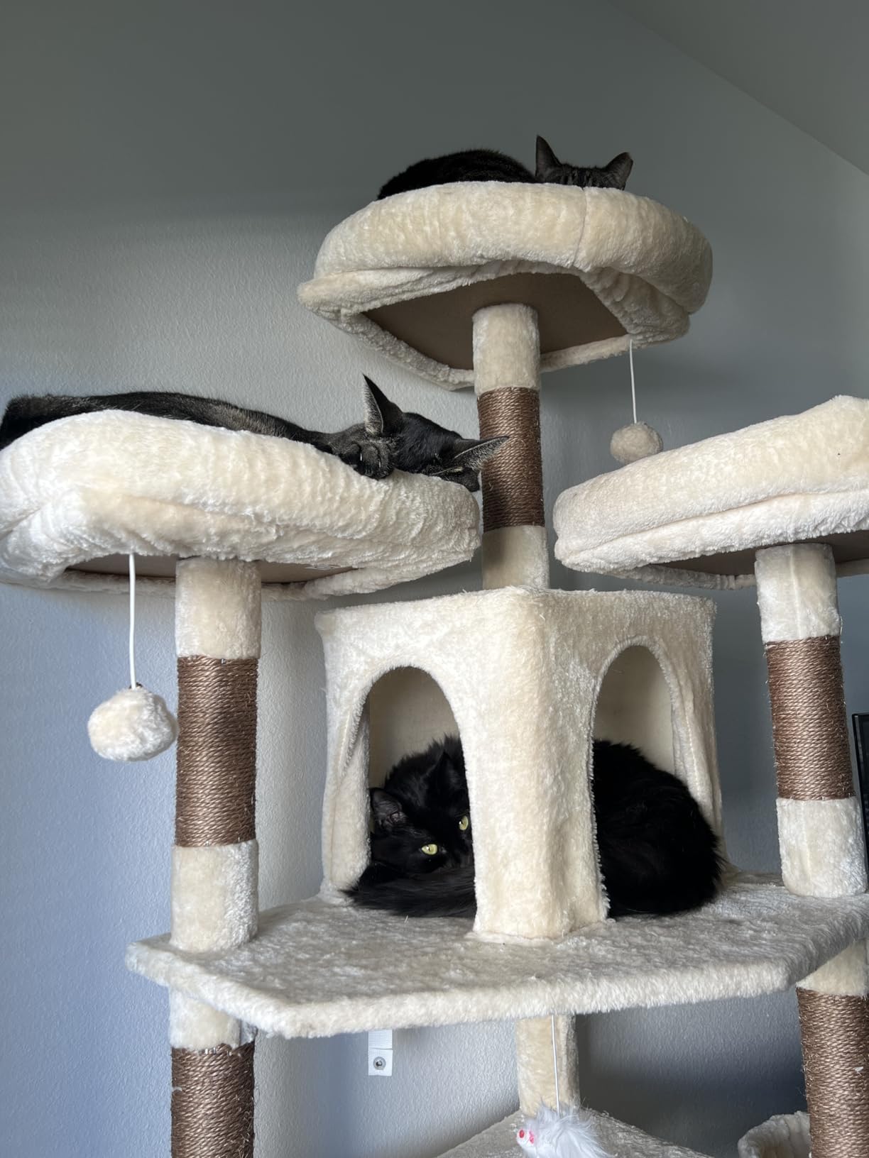 Globlazer Big Cat Tower for Indoor Cats, 80inch Cat Tower for Multiple Adult Cats XXL Cat Tree with Scratching Post, Hammock, 3 Perches, 2 Condos, 2 Hanging Basket, F80, Dark Grey customer photo 1