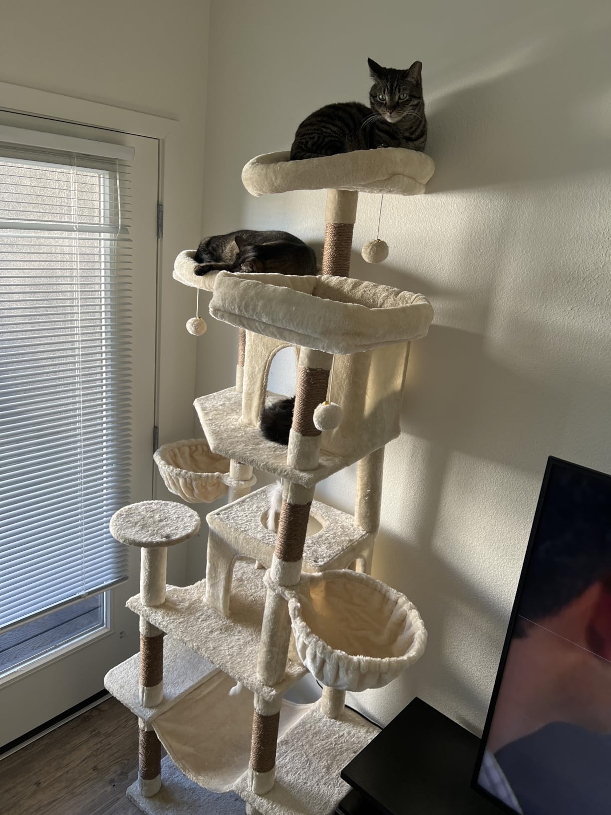 Globlazer Big Cat Tower for Indoor Cats, 80inch Cat Tower for Multiple Adult Cats XXL Cat Tree with Scratching Post, Hammock, 3 Perches, 2 Condos, 2 Hanging Basket, F80, Dark Grey customer photo 2