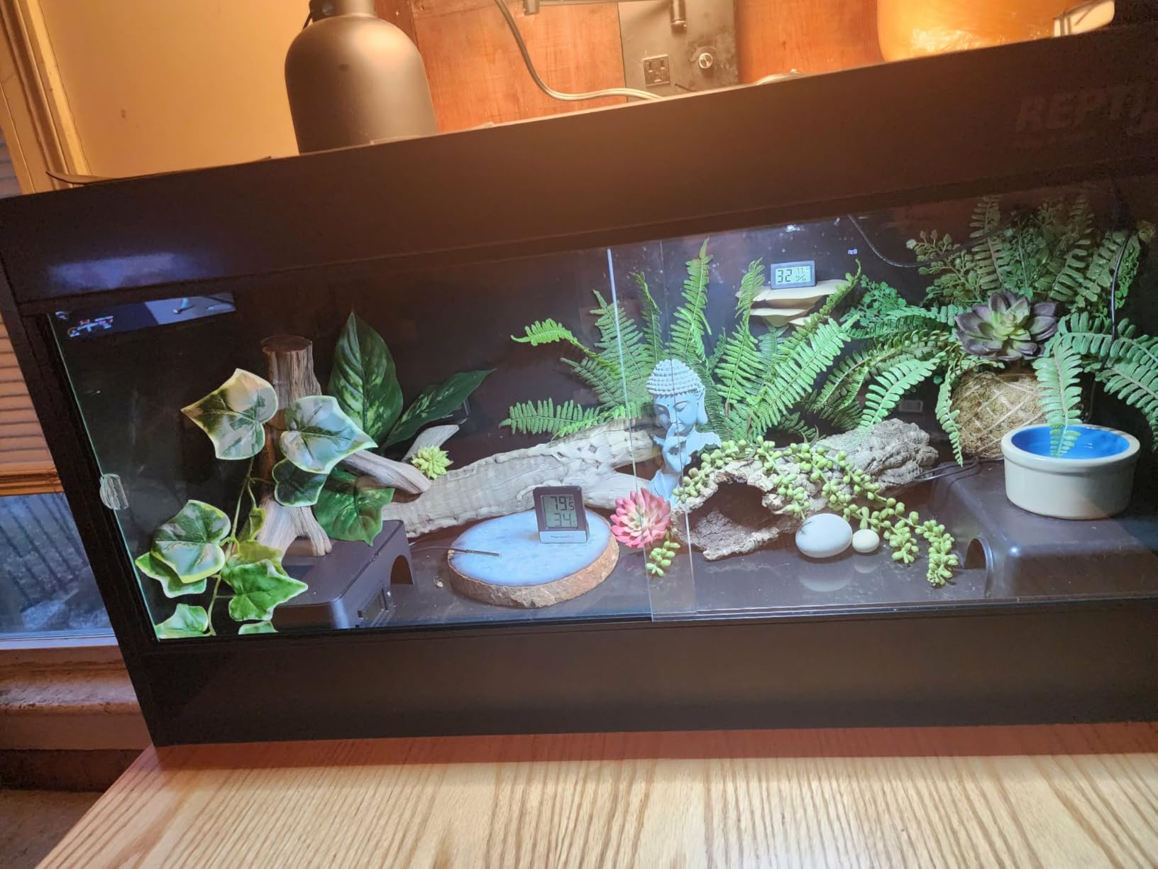 REPTI ZOO 120 Gallon PVC Reptile Tank Terrarium, 48x24x24 Reptile Terrarium for Ball Python Snake Bearded Dragon Gecko, Large Reptile Glass Tank with Sliding Door & Screen Ventilation customer photo 1