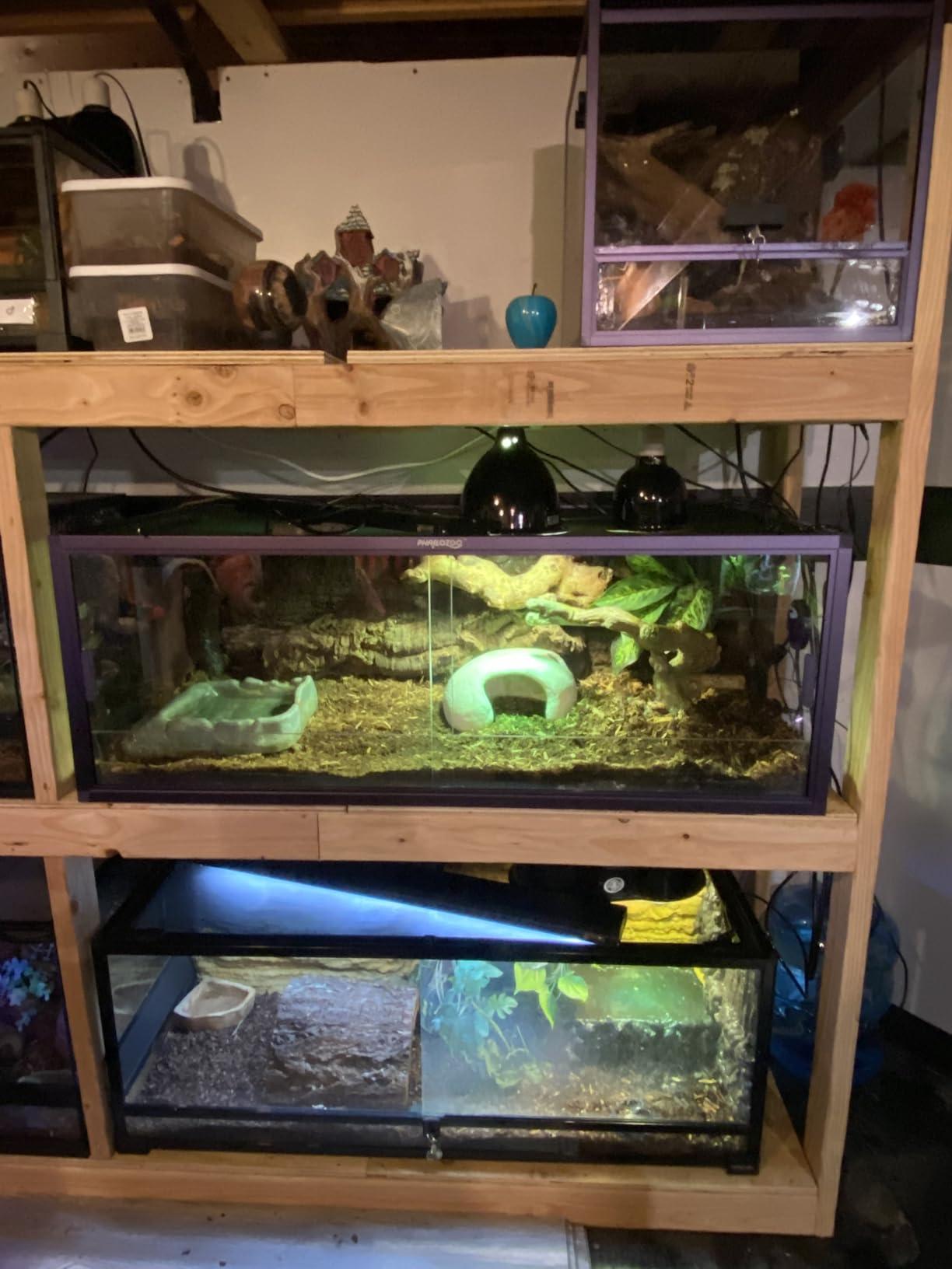 Reptile Misting System with Timer, 6 Adjustable-Joint Nozzles, Self-Priming Pump, Quiet Fine Mist for Chameleons & Terrariums customer photo 2