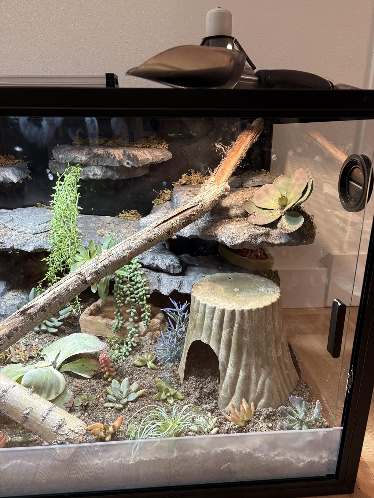 Phailozoo 120 Gallon Bearded Dragon Tank,48