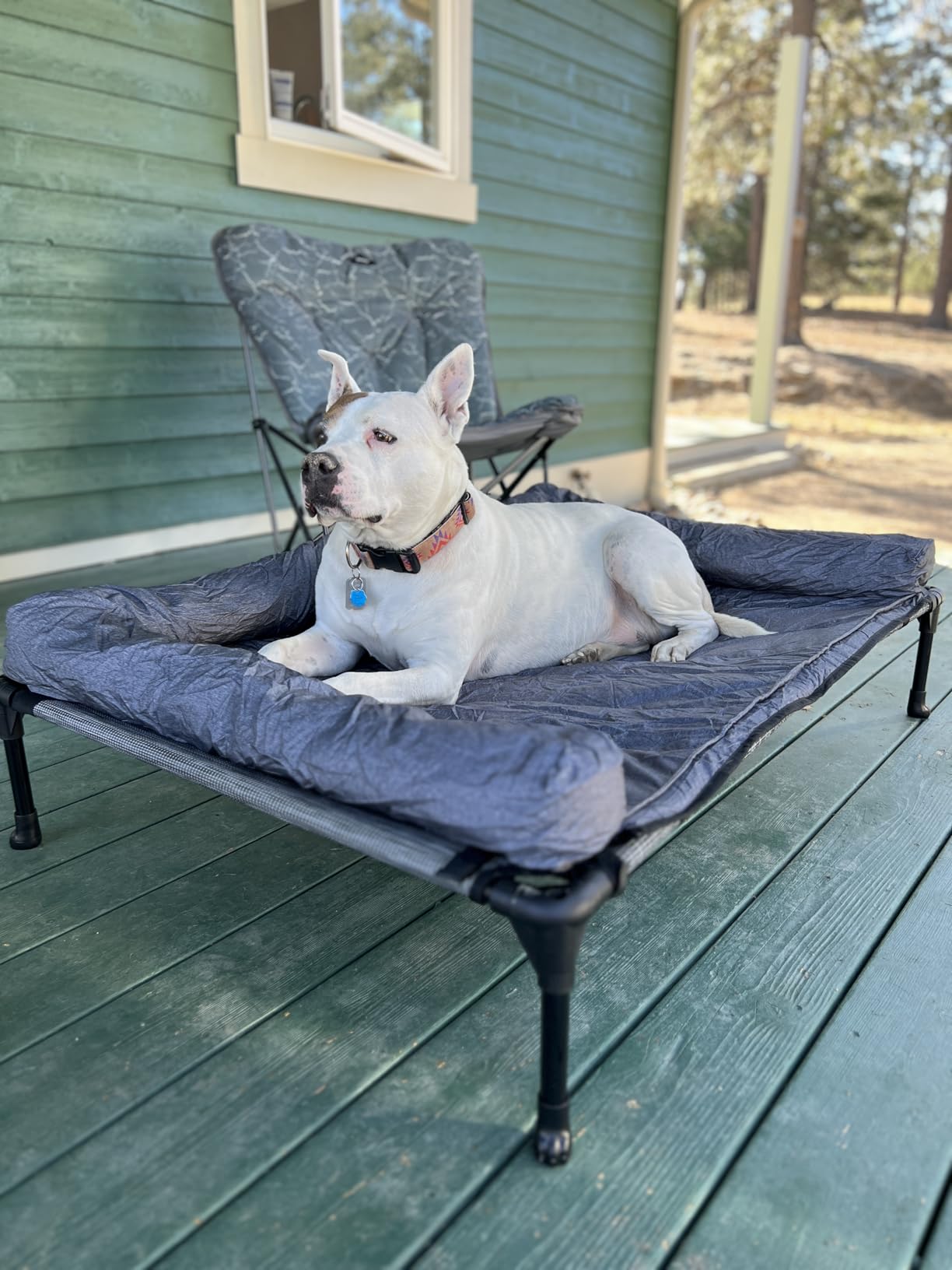 Veehoo Cooling Elevated Dog Bed Add Removable Waterproof Bolster Cushion Mat, Raised Pet Cot with Breathable Teslin Mesh, No-Slip Feet, Dog Couch Bed for Indoor Outdoor, 42x30inches, Black customer photo 1