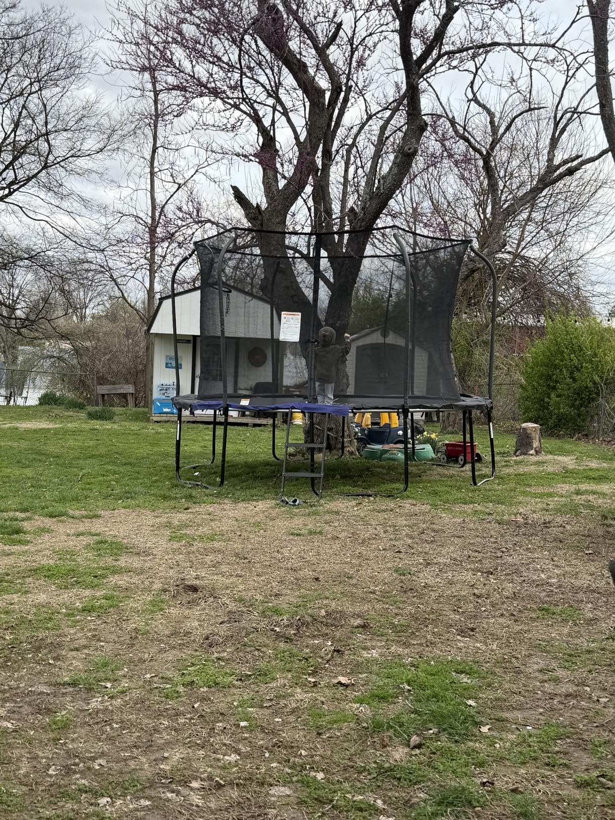 123JUMP by Skywalker Trampolines 10FT 12FT 14FT Outdoor Trampoline with Enclosure and Ladder, Round Recreational Trampoline for Kids with ASTM Approval, Spring Pad Cover, Heavy Duty Jump Mat customer photo 1