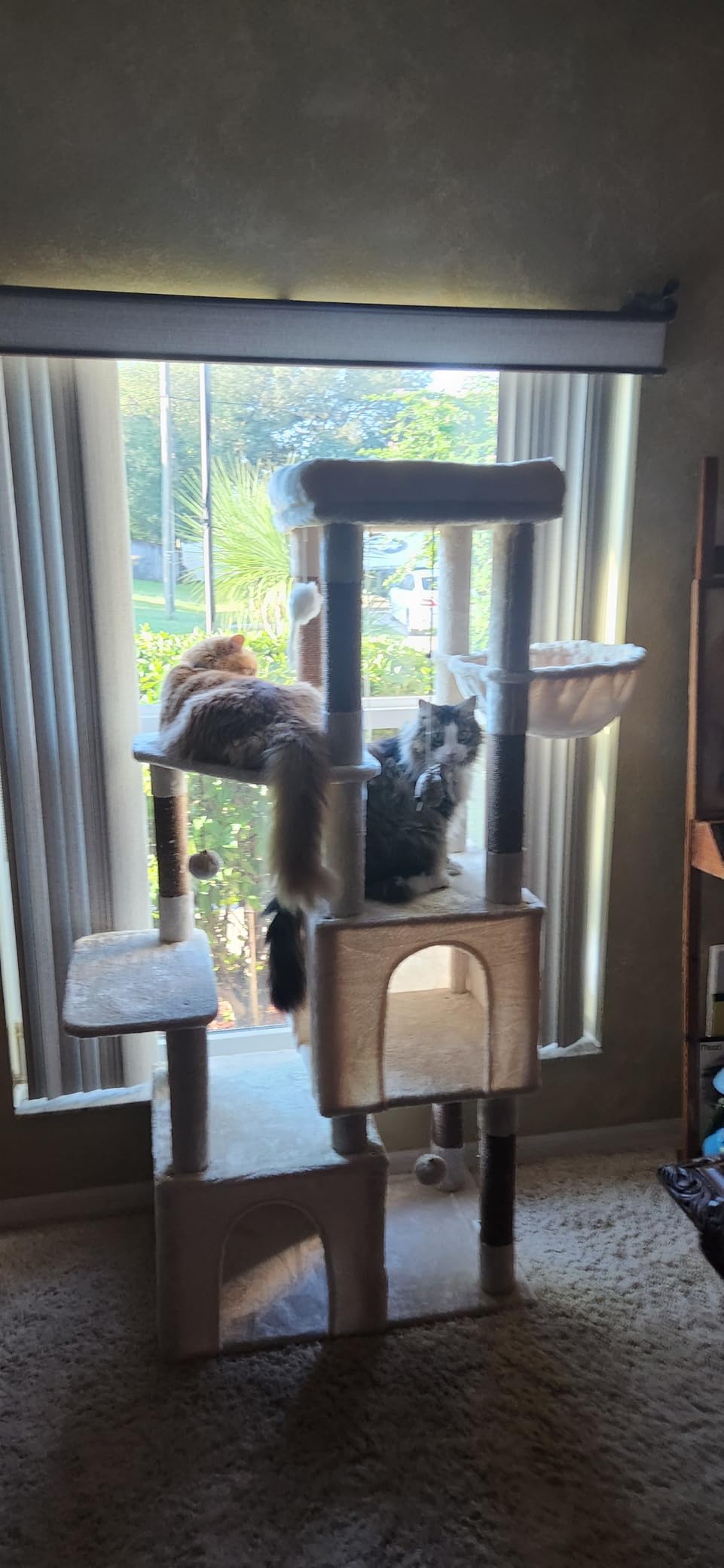 Globlazer Cat Tower for Indoor Cats, Heavy Duty Cat Trees for Large Cats Adult Big Cats Maine Coon Cat Tree Tower with Scratching Post, Extra Large Top Perch, Cat Condos, F61, Light Grey, 61inch customer photo 1