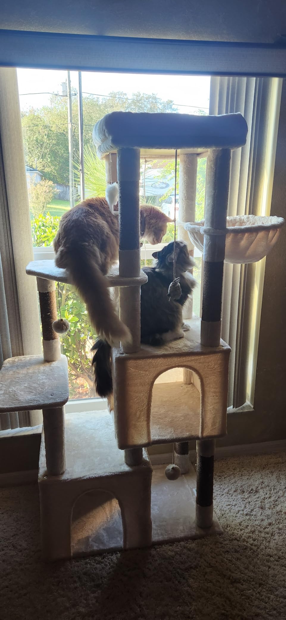 Globlazer Cat Tower for Indoor Cats, Heavy Duty Cat Trees for Large Cats Adult Big Cats Maine Coon Cat Tree Tower with Scratching Post, Extra Large Top Perch, Cat Condos, F61, Light Grey, 61inch customer photo 2