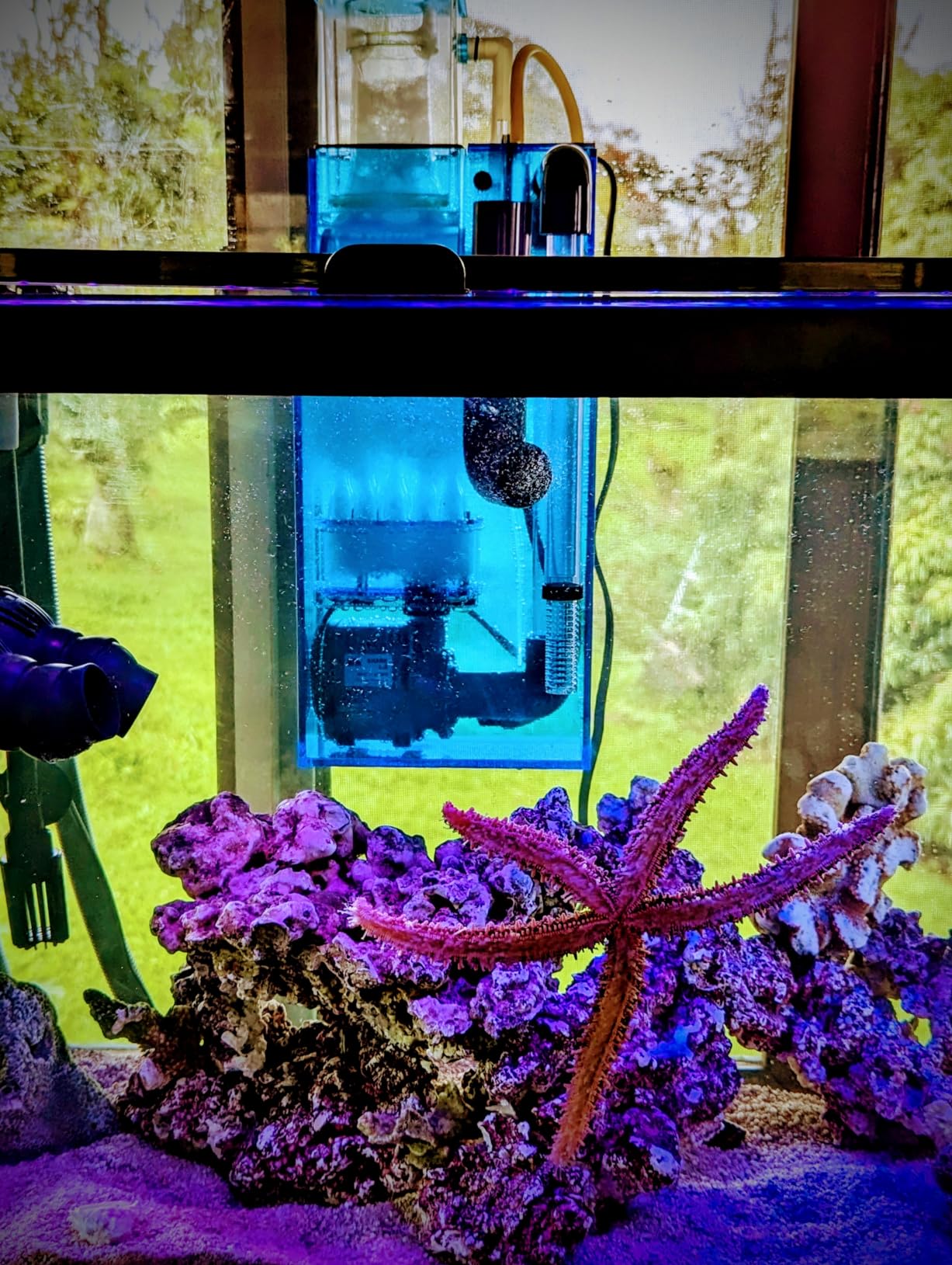 AquaReady Hang On Back Protein Skimmer HOB-1.5 for Saltwater Aquariums Up to 75 Gallon customer photo 2