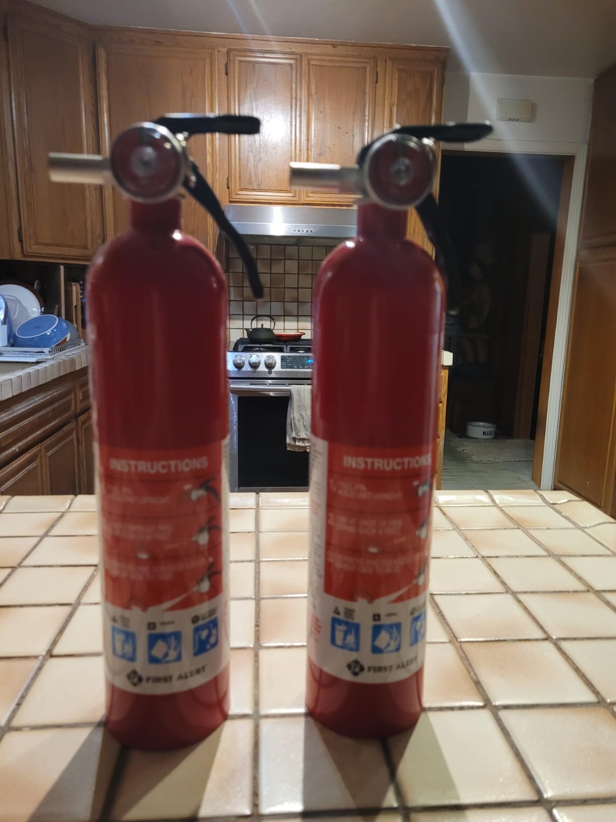 First Alert Fire Extinguisher for Home, Standard Rechargeable Compliance Unit, UL RATED 1-A:10-B:C, HOME1, Red with Metal Bracket Bundle, 1-Pack customer photo 2