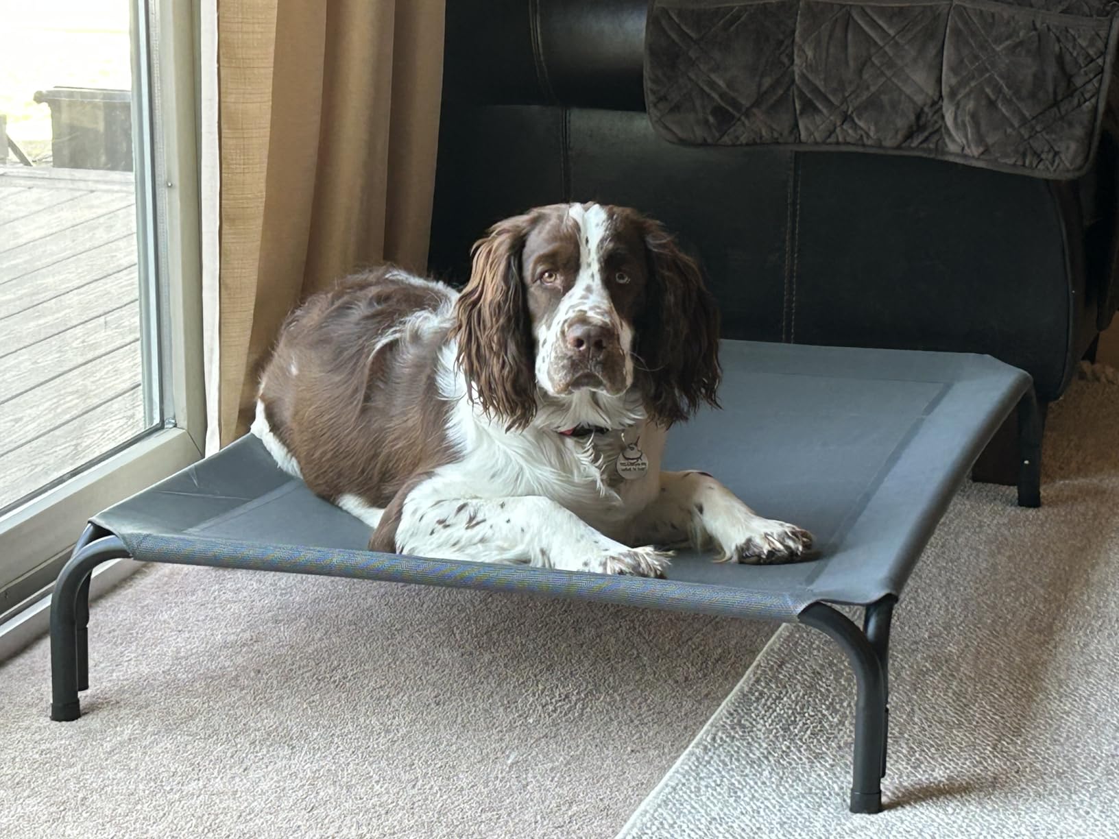 Czpalo Elevated Dog Bed, Raised Outdoor Dog Bed for Large Sized Dogs, Portable Cooling Pet Cot with Breathable & Washable Mesh, Indoor & Outdoor Pet Hammock with Skid-Resistant Feet customer photo 1