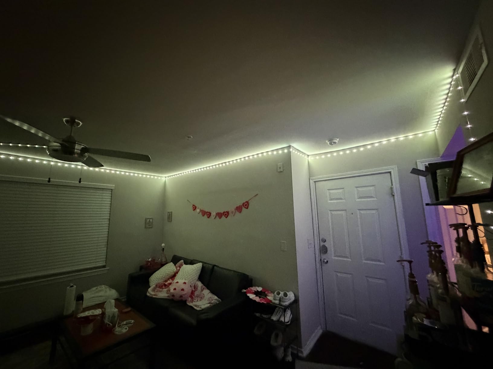 DAYBETTER LED Strip Lights 130ft for Bedroom, Desk, Indoor Room RGB Decor with Remote and 24V Power Supply customer photo 1
