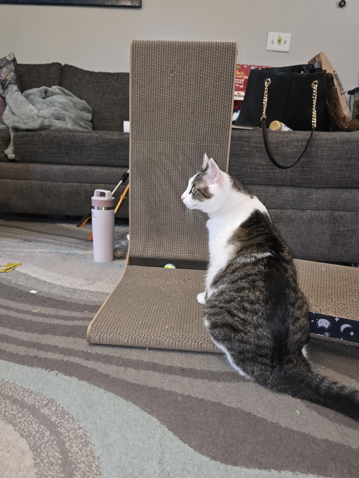 EHEYCIGA Cardboard Cat Scratcher for Indoor Cats, 26.8 Inch L Shaped Vertical Cat Scratching Board with Ball Cat Toy customer photo 2