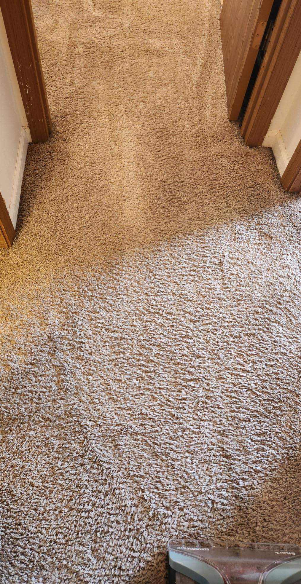 Shark CarpetXpert Upright Carpet, Area Rug & Upholstery Cleaner with Handheld Spot & Stain Eliminator, 3 Cleaning Tools, Slate Green, EX151 customer photo 1
