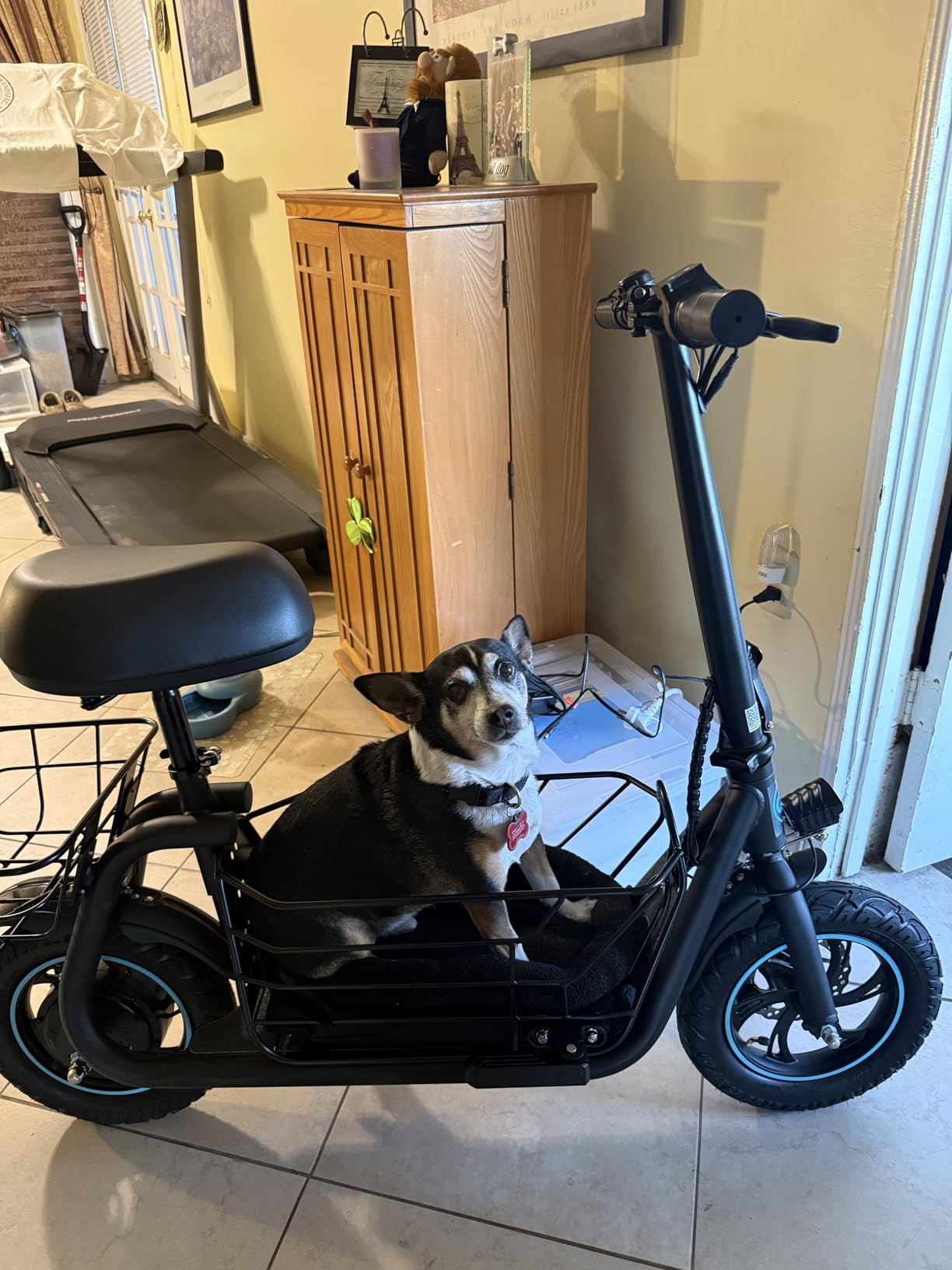 Gyroor Electric Scooter for Adults with Large Pet Basket - Dog-Friendly 550W Motor 19 MPH, 20 Mile Long Range, Foldable Commuter E-Scooter with Comfort Seat for Pets & Groceries customer photo 1