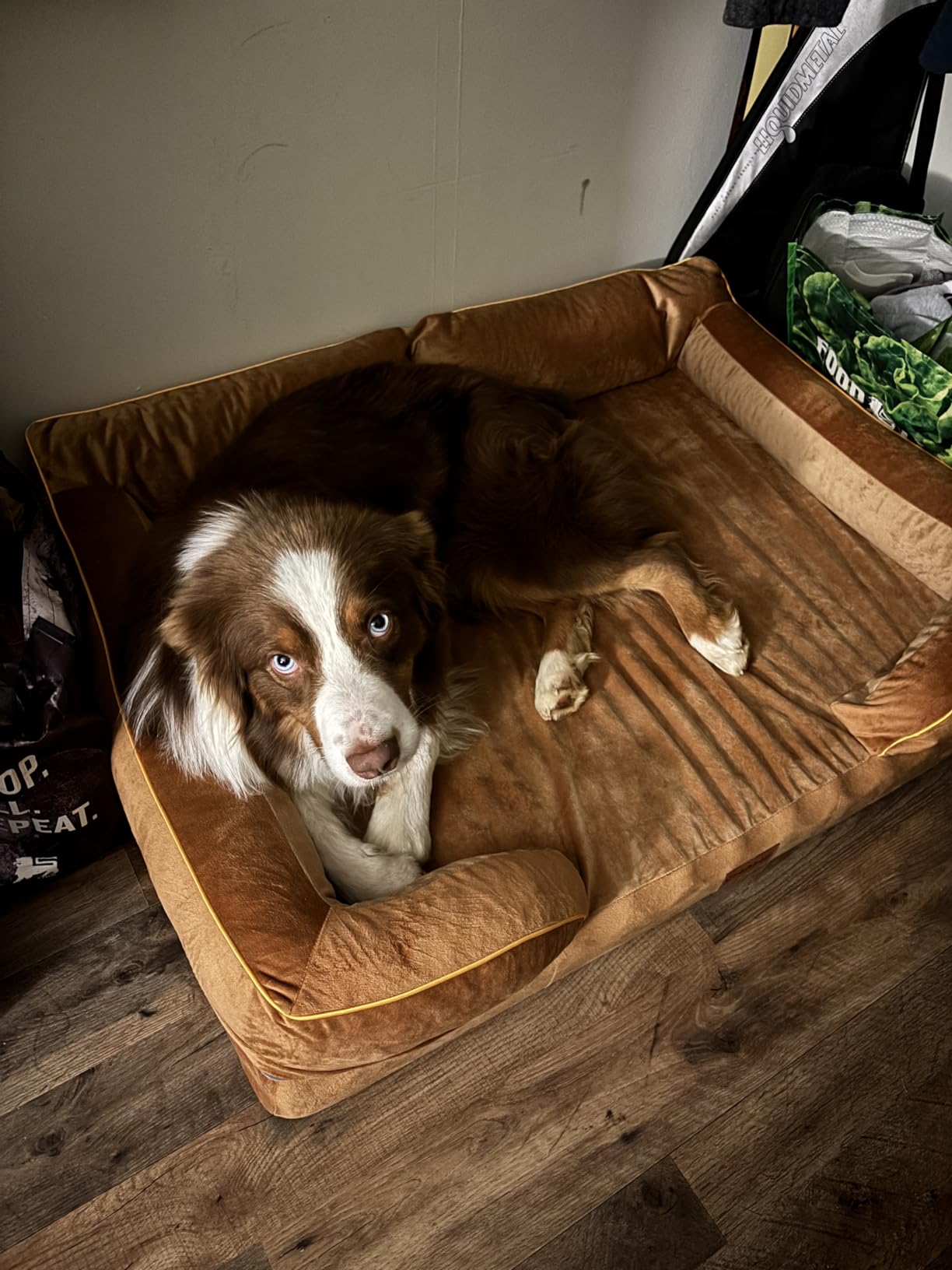 CWAWZ XXL Dog Bed for Extra Large Dogs, Giant Orthopedic Dog Bed with Cooling Gel Memory Foam, Waterproof Pet Bed with Removable Washable Cover, 53