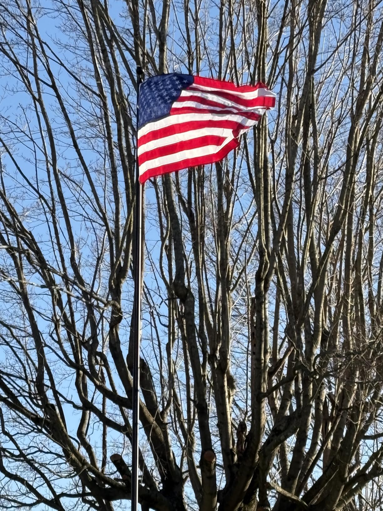 20FT Heavy Duty Flag Pole, 12-Gauge Aluminum, 100MPH Wind Tested | Extra Thick Residential & Commercial Flagpole Kit for Outside House - Includes USA Flag & All Hardware to Fly Two Flags customer photo 2