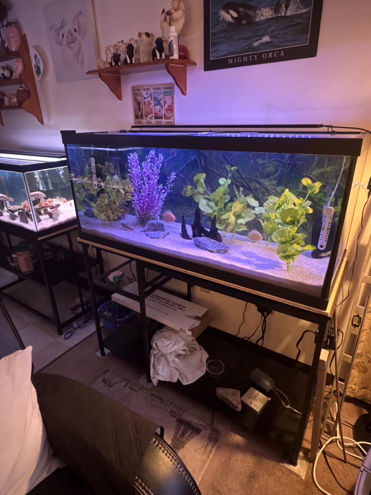 55-75 Gallon Fish Tank Stand: Heavy Duty Aquarium Stand with Power Outlets and Cabinet for Fish Tank Accessories Storage, Metal Frame, 1200LBS Capacity customer photo 1