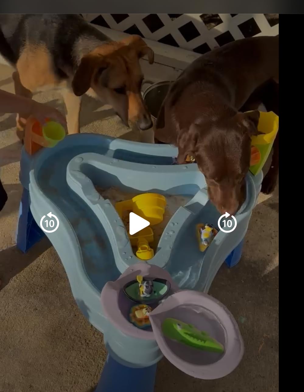 Little Tikes Bluey Water Table with 6 Accessories & Characters - Full Set (727382) customer photo 1