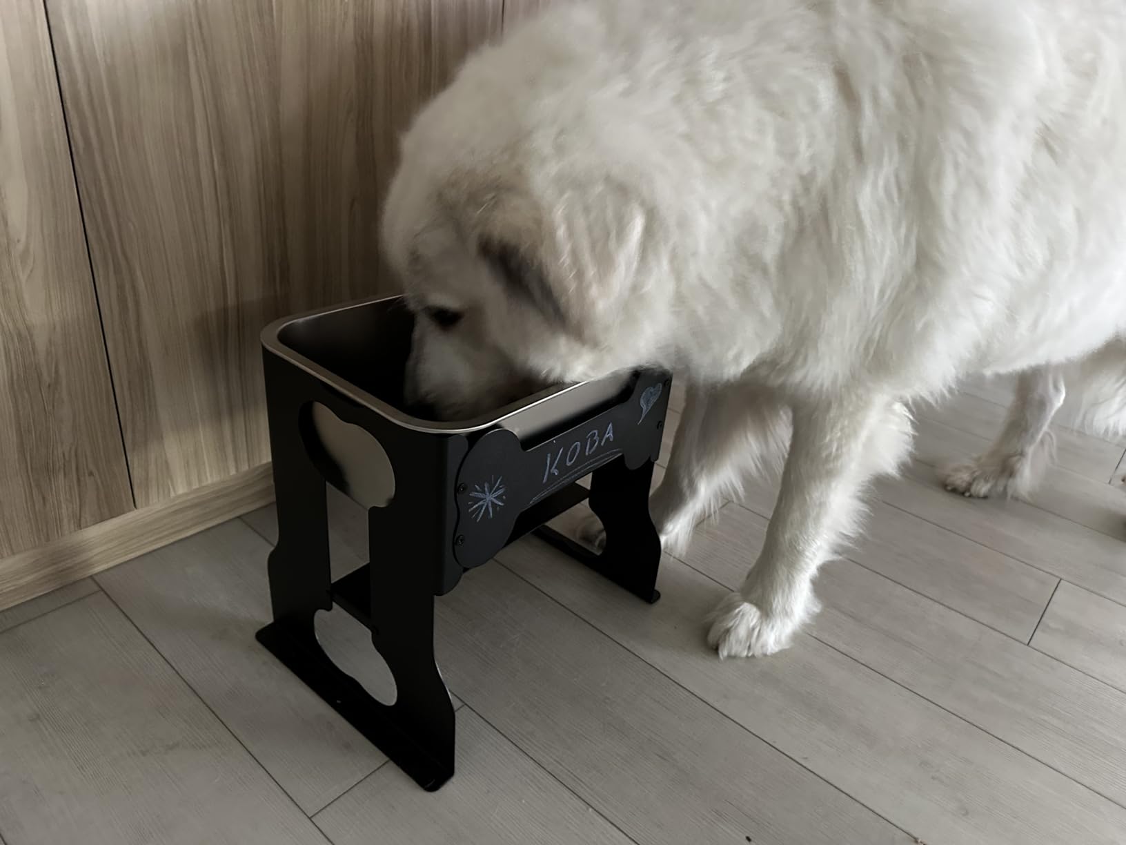 2.4 Gallon Elevated Large Dog Water Bowl,14
