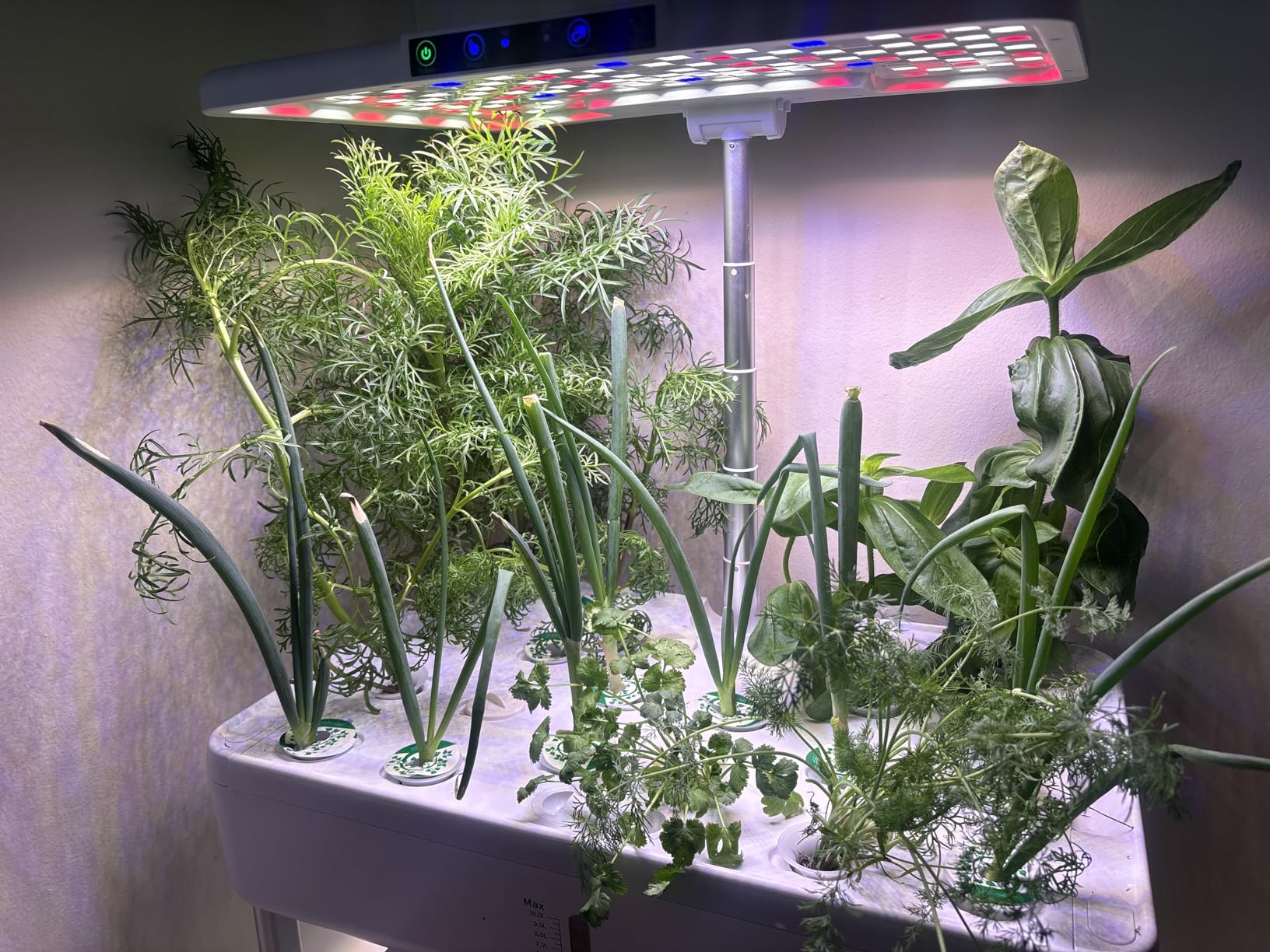 Ahopegarden Hydroponics Growing System Indoor Garden, 44 Pods Plant Herb Garden Germination Kit with LED Grow Light, 20L Double-Layer Large Capacity Hydrophonic Planter Grower customer photo 1