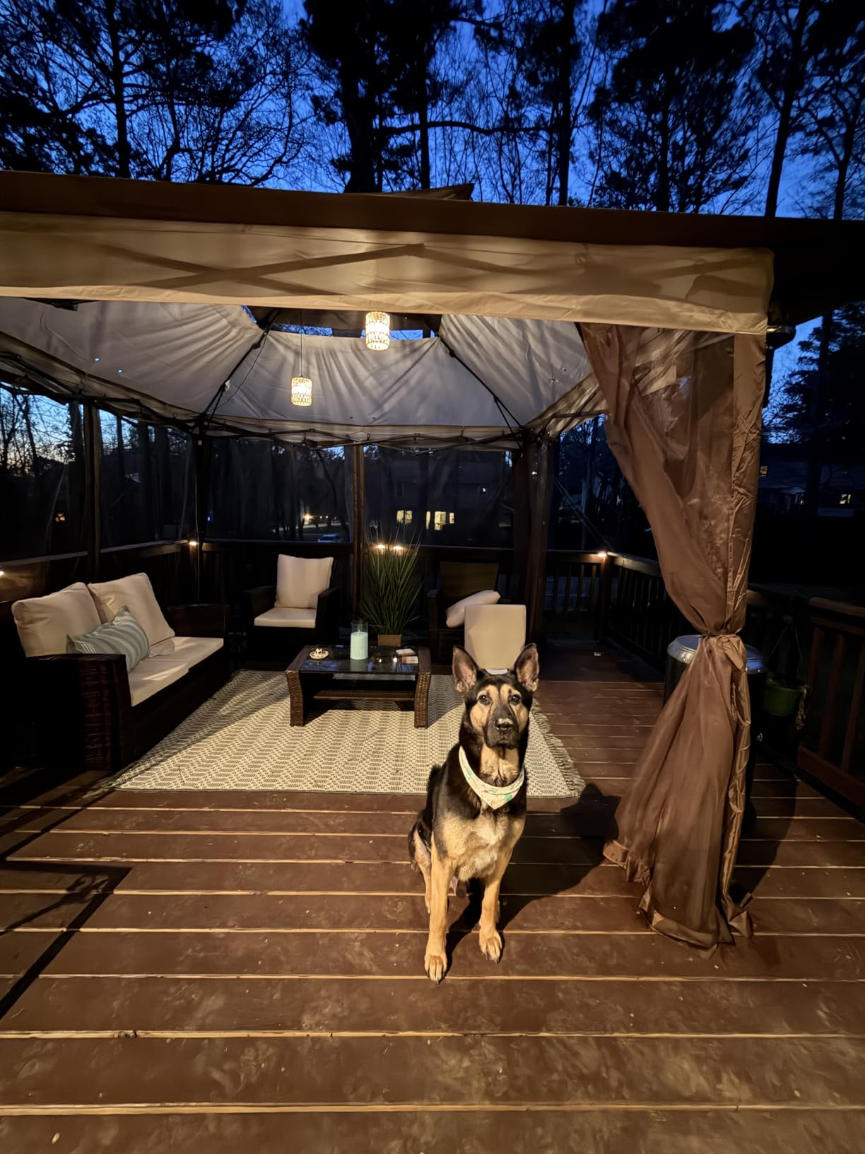 Outdoor Solar Chandelier Indoor Gazebo Lights Waterproof Pendant Hanging Light for Pergola Porch Patio Decor Boho Rattan Lampshade Farmhouse Shed USB Powered Accessories Dimmable Remote customer photo 1