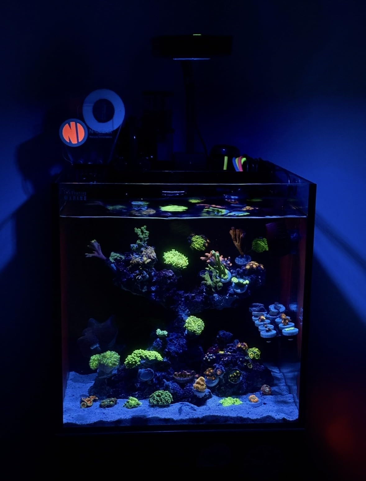 Nano Hang On Back Protein Skimmer for Saltwater Aquariums Bullet-1, Up to 30 Gallon Filtration, Hang On External, Adjustable, Ultra Quiet Pump, Compact Design customer photo 1