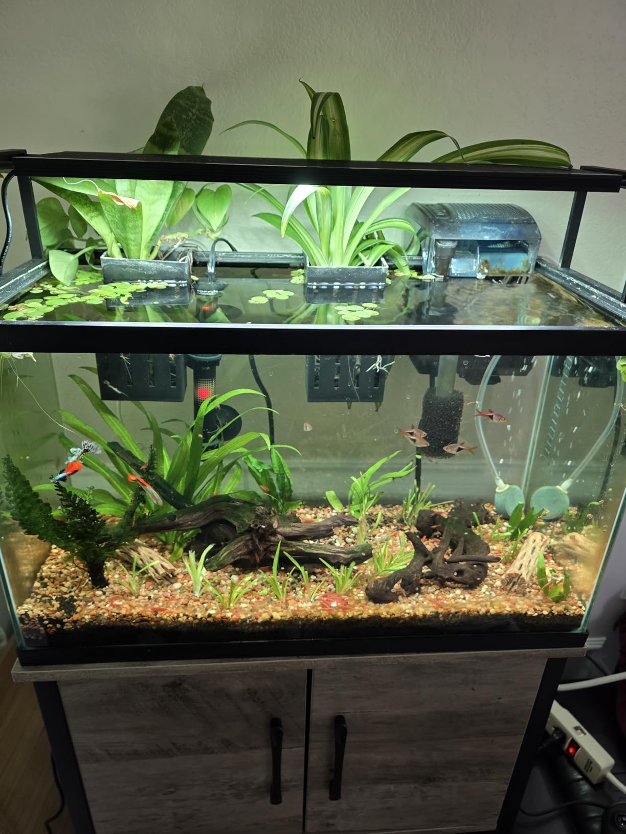 AC20 Power Filter, 5-20 US Gal / 18-76 L - Fluval customer photo 1