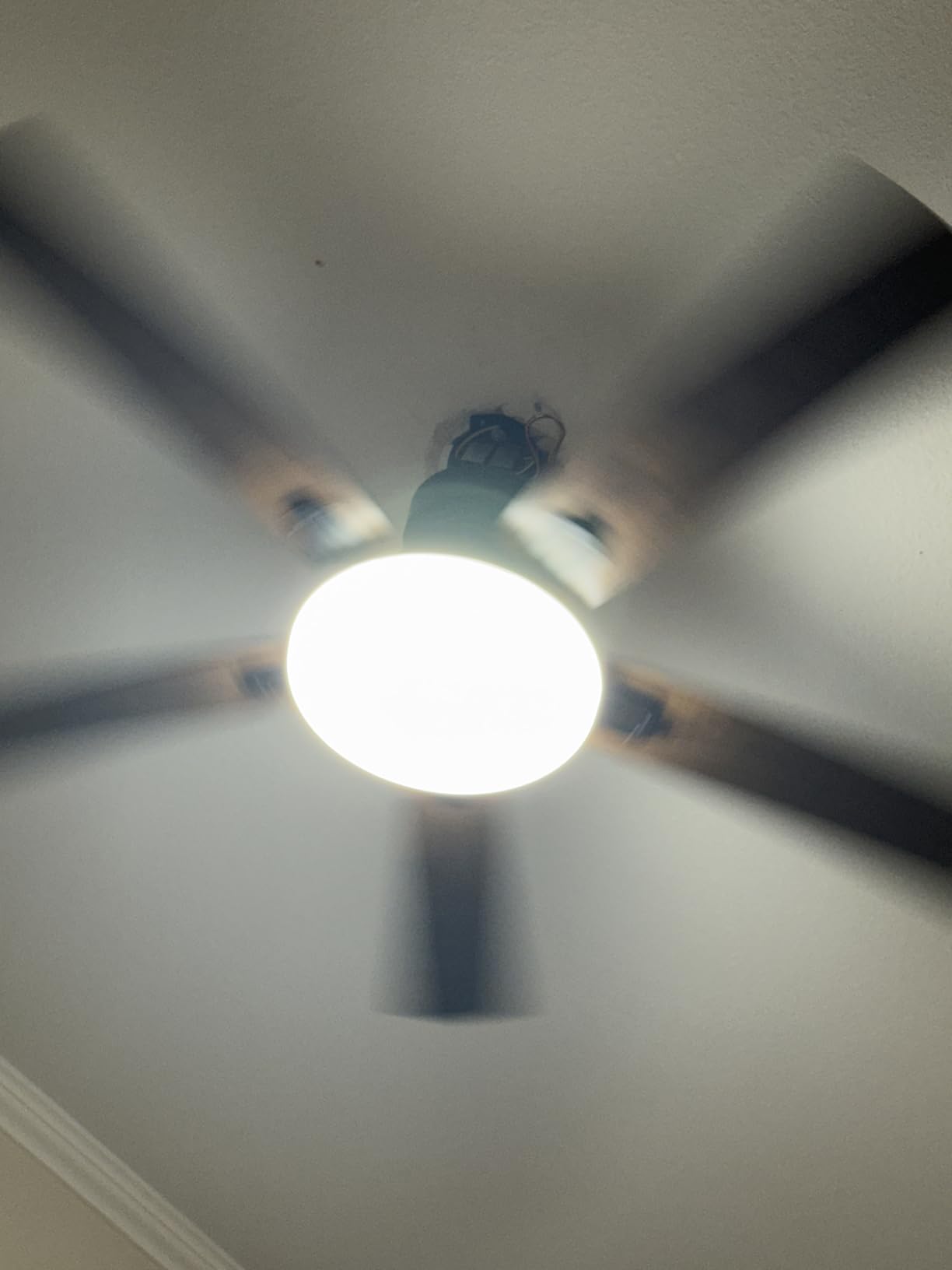addlon 72 Inch Large Ceiling Fans with Lights, Black Ceiling Fan with Remote Control, Reversible, 5CCT, Dimmable, DC Motor, Modern Ceiling Fan for Living Room, Kitchen, Patio Indoor/Outdoor Use customer photo 1