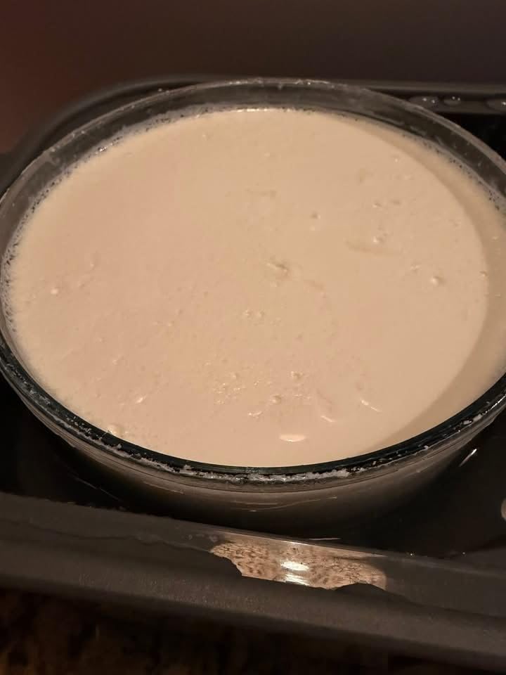 Ultimate Probiotic Yogurt Maker with Adjustable Temperature & Time Control - Make Trillions of Live Probiotics & Get Better Gut Health - ULTIMATE LIFETIME WARRANTY customer photo 2