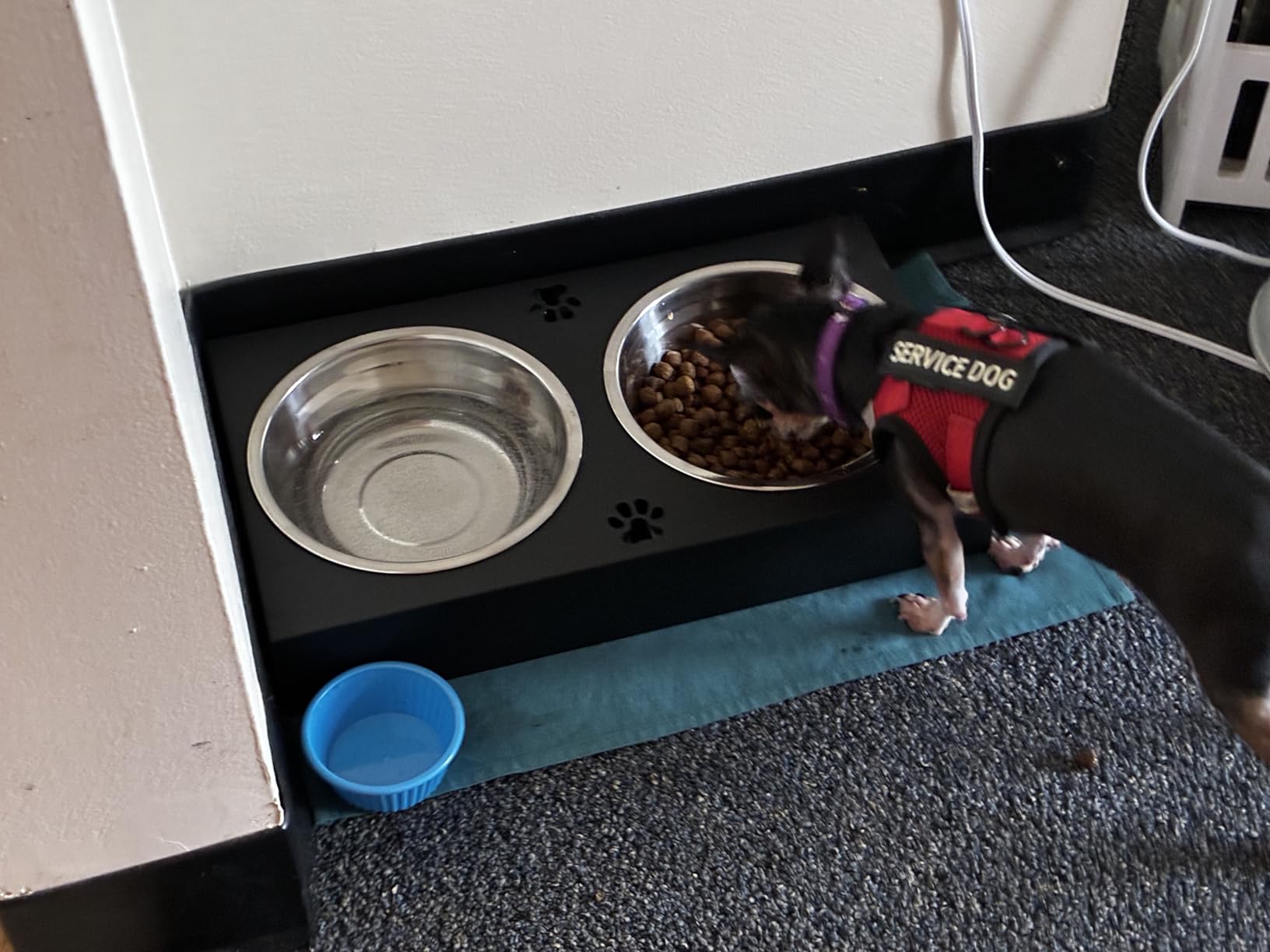 Elevated Dog Bowls Stand Large Breed, Height Adjustable Raised Dog Bowls Holder with 2 Stainless Steel Food Bowls for Small, Medium and Large Canine customer photo 2