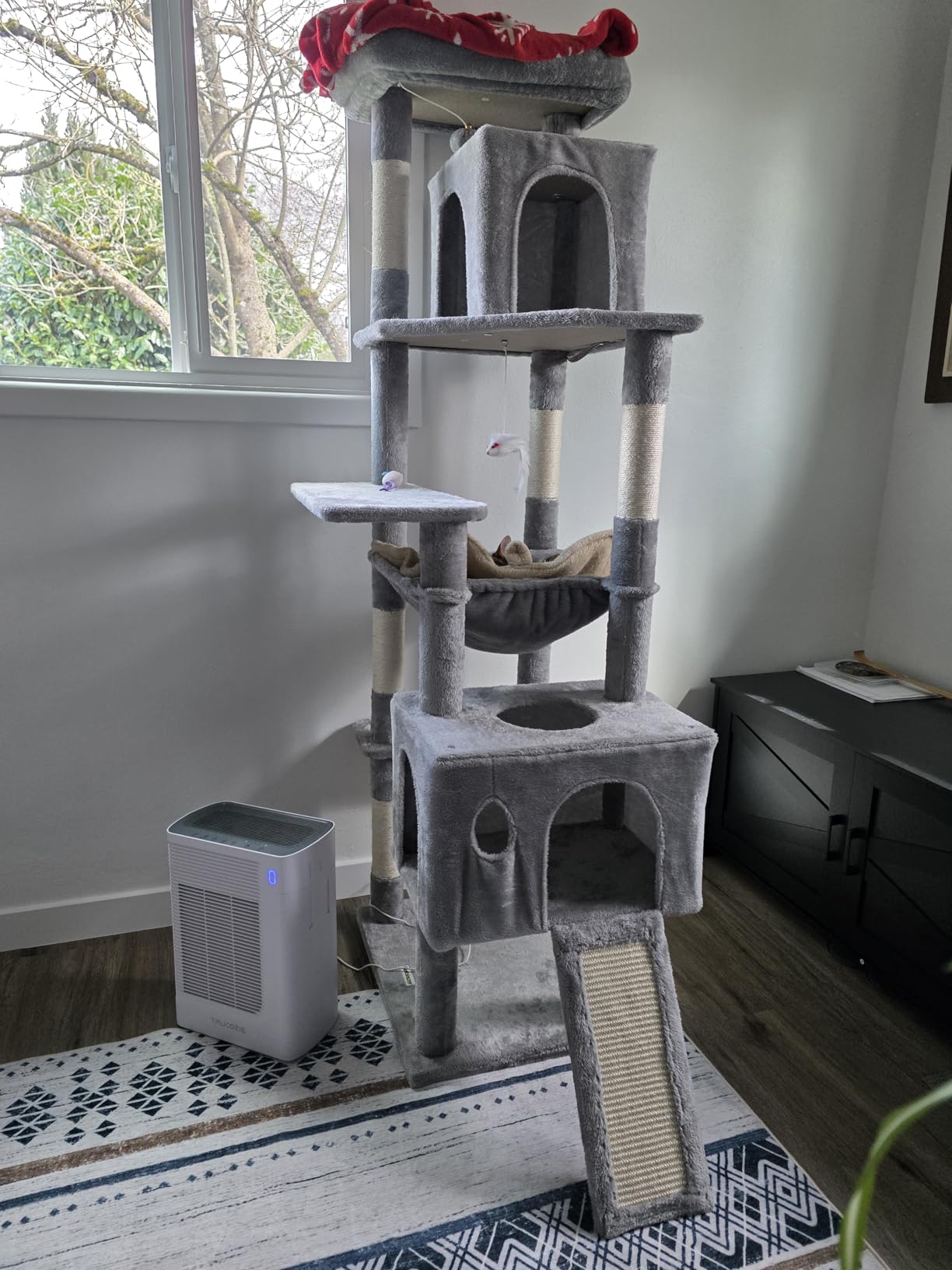 Globlazer Heavy Duty Cat Tree, 70 inch Sturdy Cat Tree for Indoor Cats Extra Large Cat Tower with Scratching Post, Hammock, Cat Condo for Adult Cats Kittens, F70 Pro, Light Grey customer photo 1
