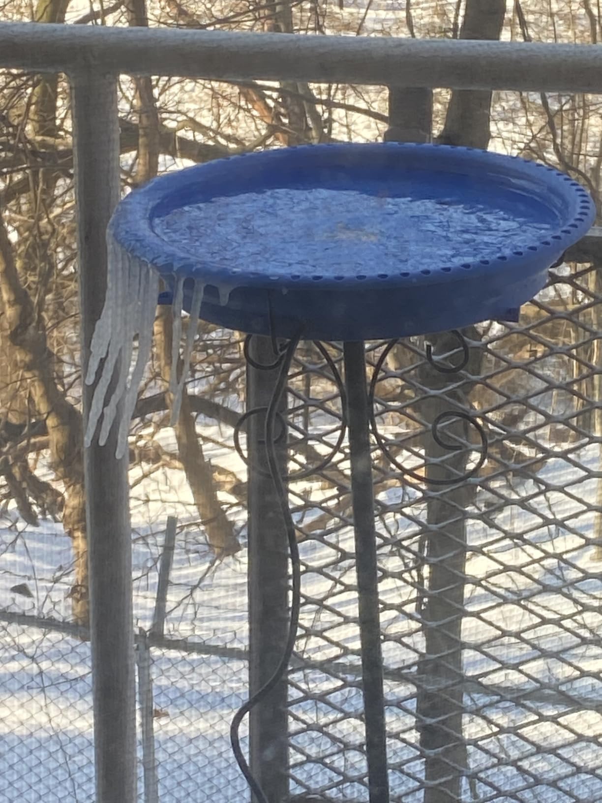 Daoeny Heated Bird Bath for Winter 100W with 5-Prong Metal Base customer photo 1