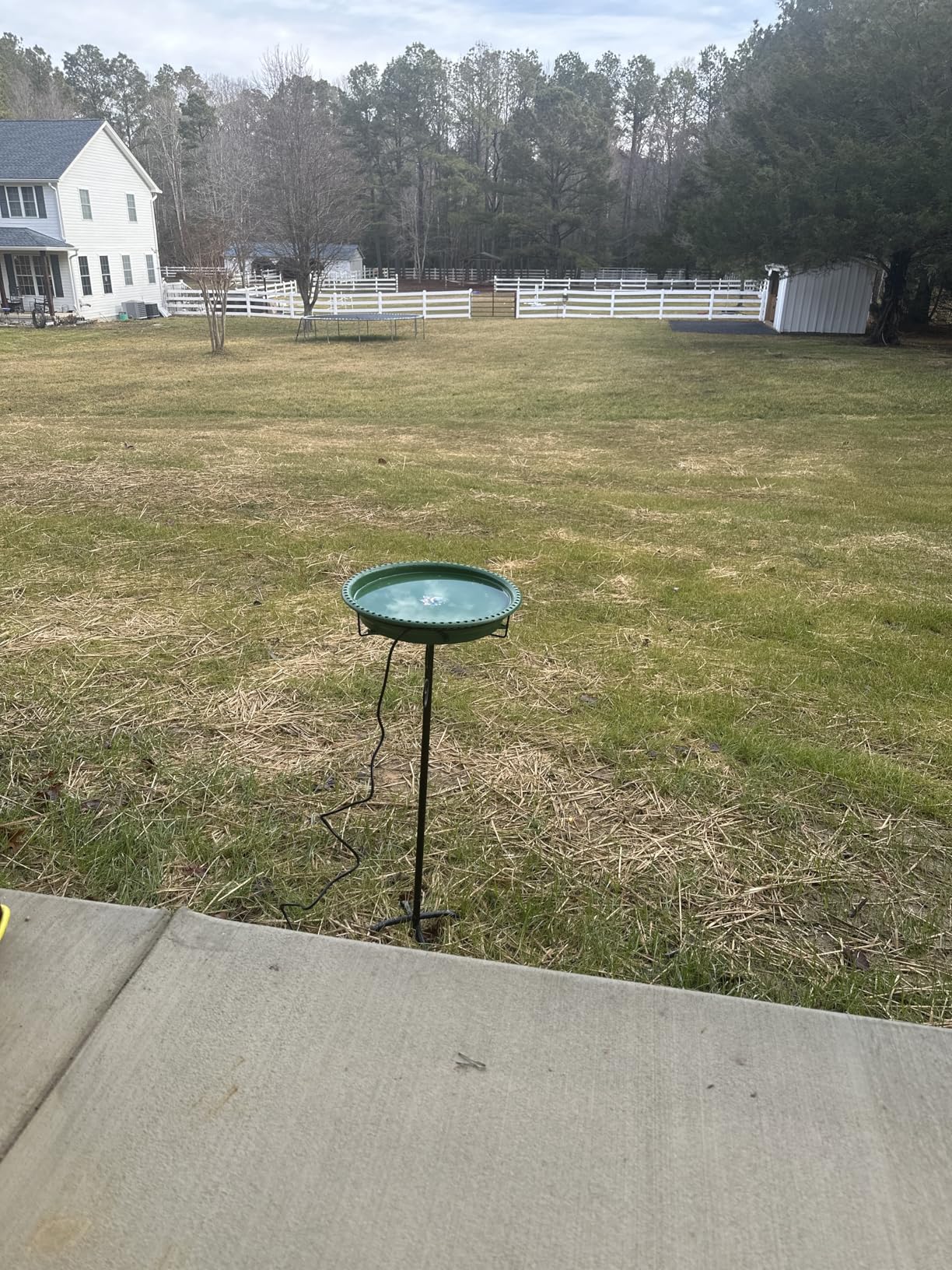 Daoeny Heated Bird Bath for Winter 100W with 5-Prong Metal Base customer photo 2