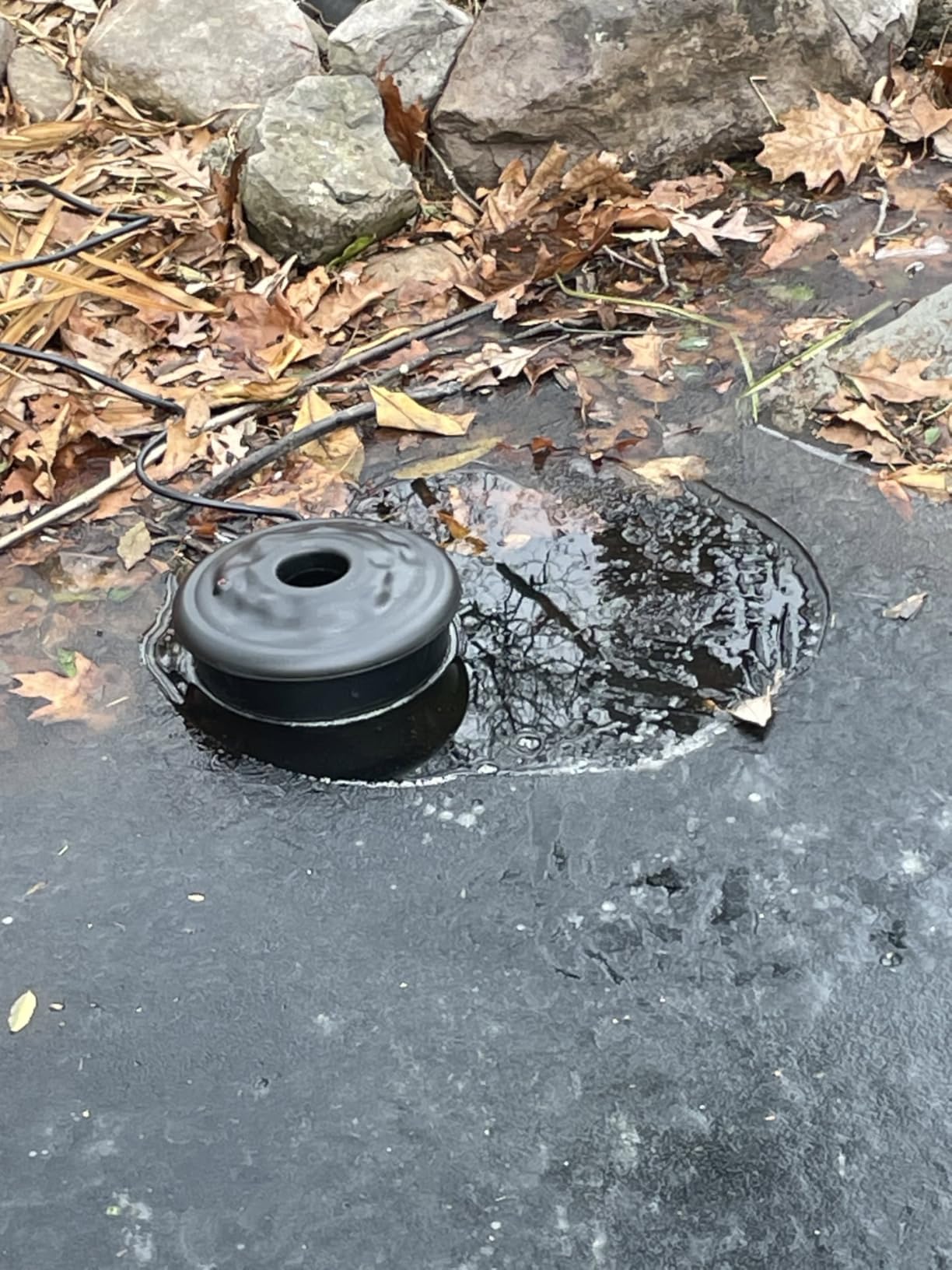 Dreyoo Floating Pond Heater, 100W Pond Deicer with 9.84 FT Cord, Thermostatically Control and Anti Sinking Ponds Heater for Outdoor Ponds with Fish customer photo 2