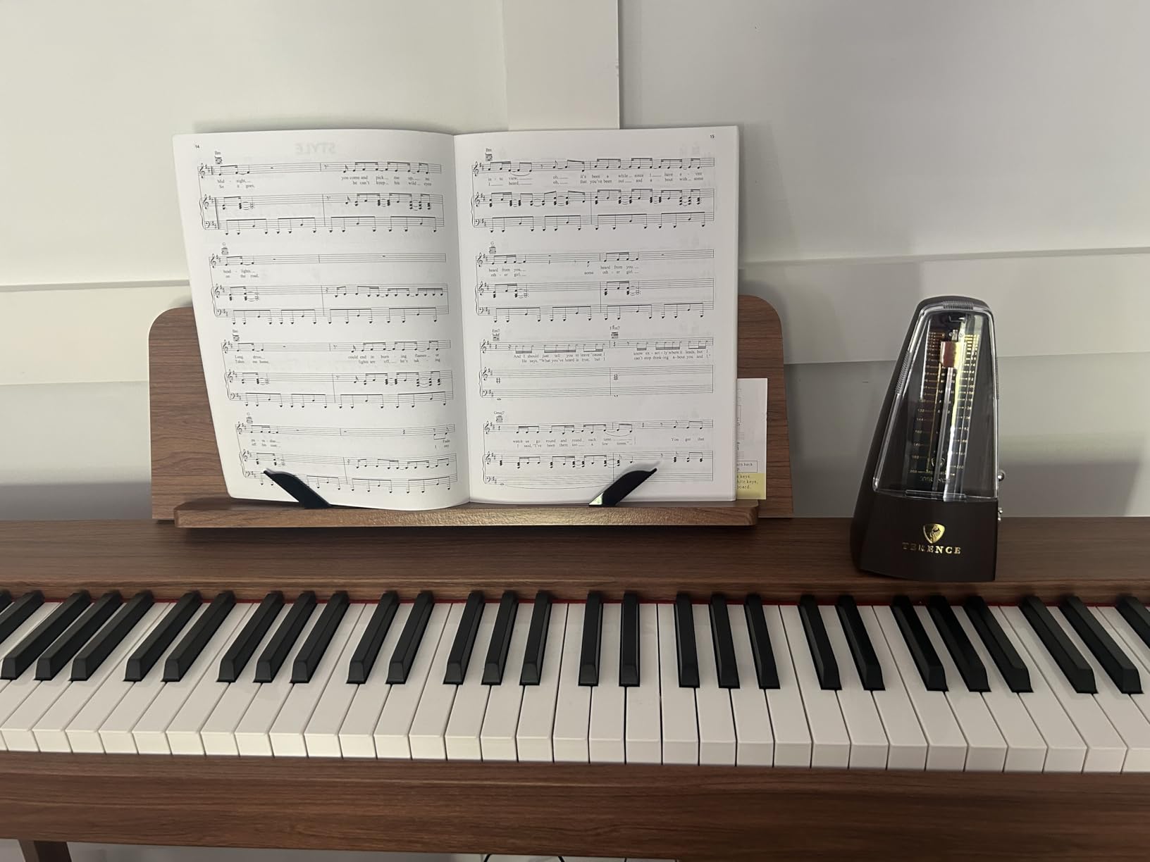 TERENCE Mechanical Metronome for Piano Guitar Violin Bass Drum and Other Musical Instruments Loud Sound, High Precision customer photo 1
