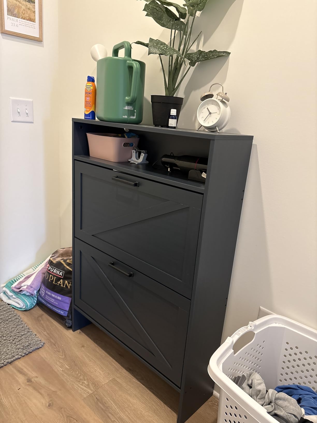 RWYHG Shoe Storage Cabinet with 2 Flip Drawers,Farmhouse Narrow Shoe Organizer with Legs,Freestanding Hidden Slim Shoe Rack Cabinet with Open Storage for Entryway,Hallway, Foyer, Blue customer photo 2