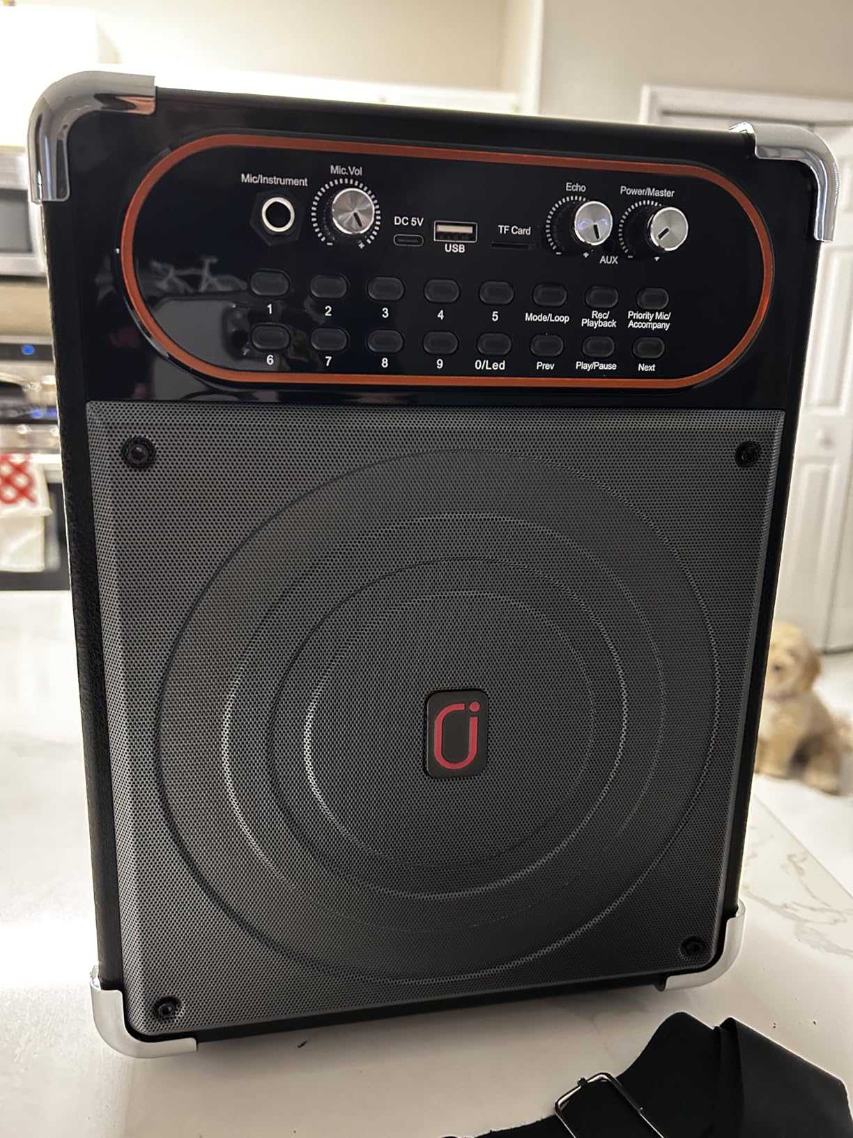 Karaoke Machine, Portable Bluetooth 5.3 Speaker with 2 Wireless Microphones for Adults, PA System with Echo Adjustment, Support TWS/TF Card/USB/AUX/TVs Connected customer photo 1
