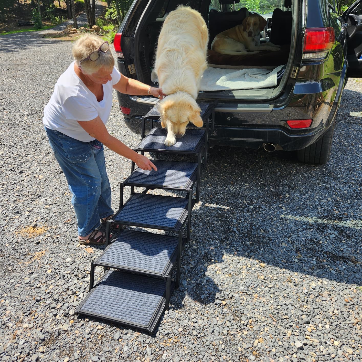 Dog Ramp for Car Truck and SUV Dog Stairs for Large Dogs Folding Pet Stairs with Non-Slip Rug Surface Supports Up to 250 lbs (5 Steps) customer photo 2