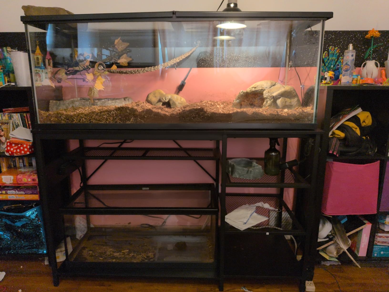 GRLEAF 55-75 Gallon Aquarium Stand: 1000LB Capacity, Built-In Power Outlets, 3-Tier Shelves for Fish Tank Accessories Storage, Heavy-Duty Steel/Wood Hybrid for Fish & Reptile Tanks customer photo 1
