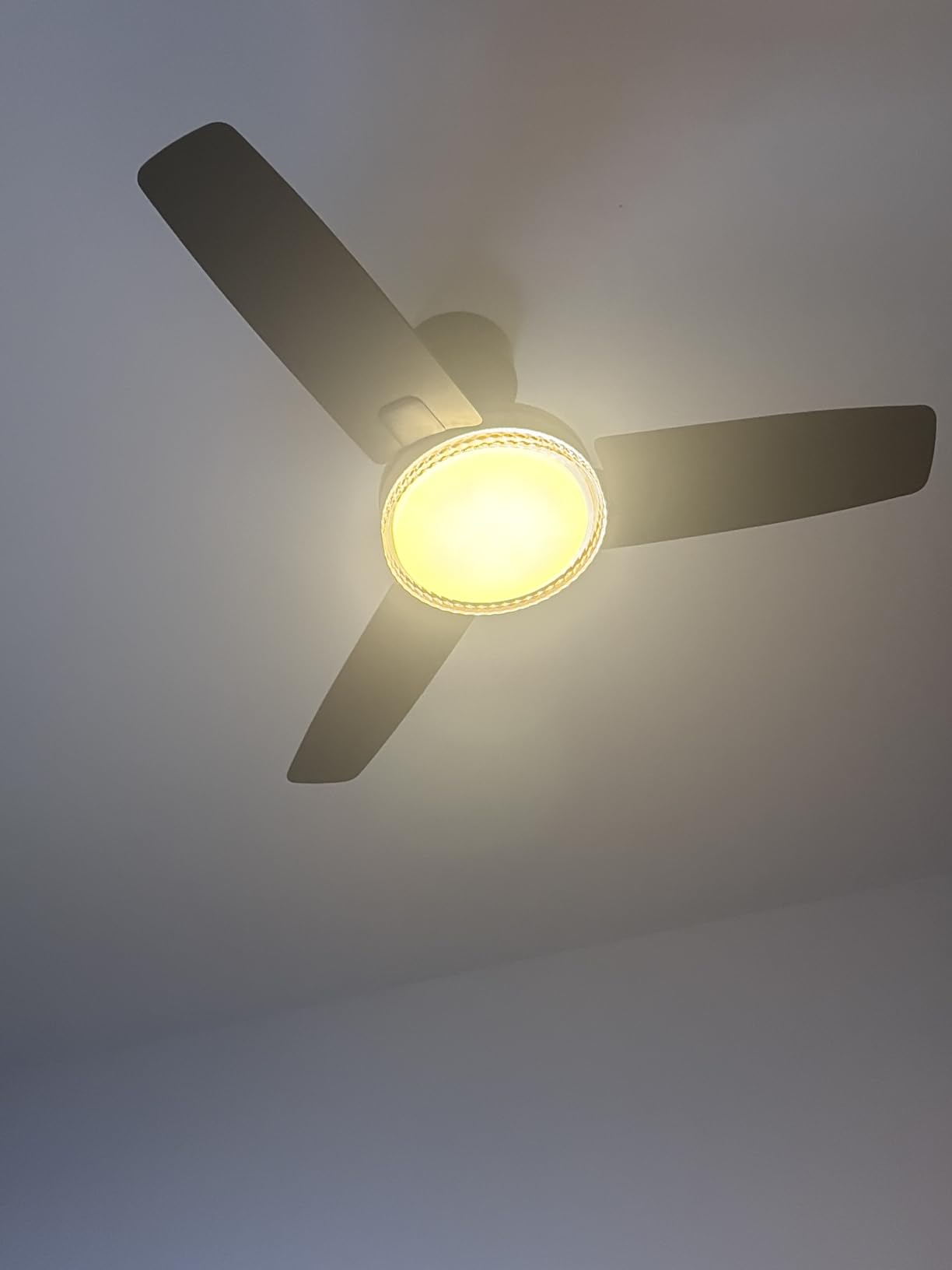 Dreo Smart Ceiling Fans with Lights, 42 Inch Black Ceiling Fan, 12 Speeds & 3 Fan Modes, Stepless Color Tones, Dimmable LED Light, 1-12H Timer, Quiet DC Motor, Remote/APP/Alexa/Wall Switch Control customer photo 2
