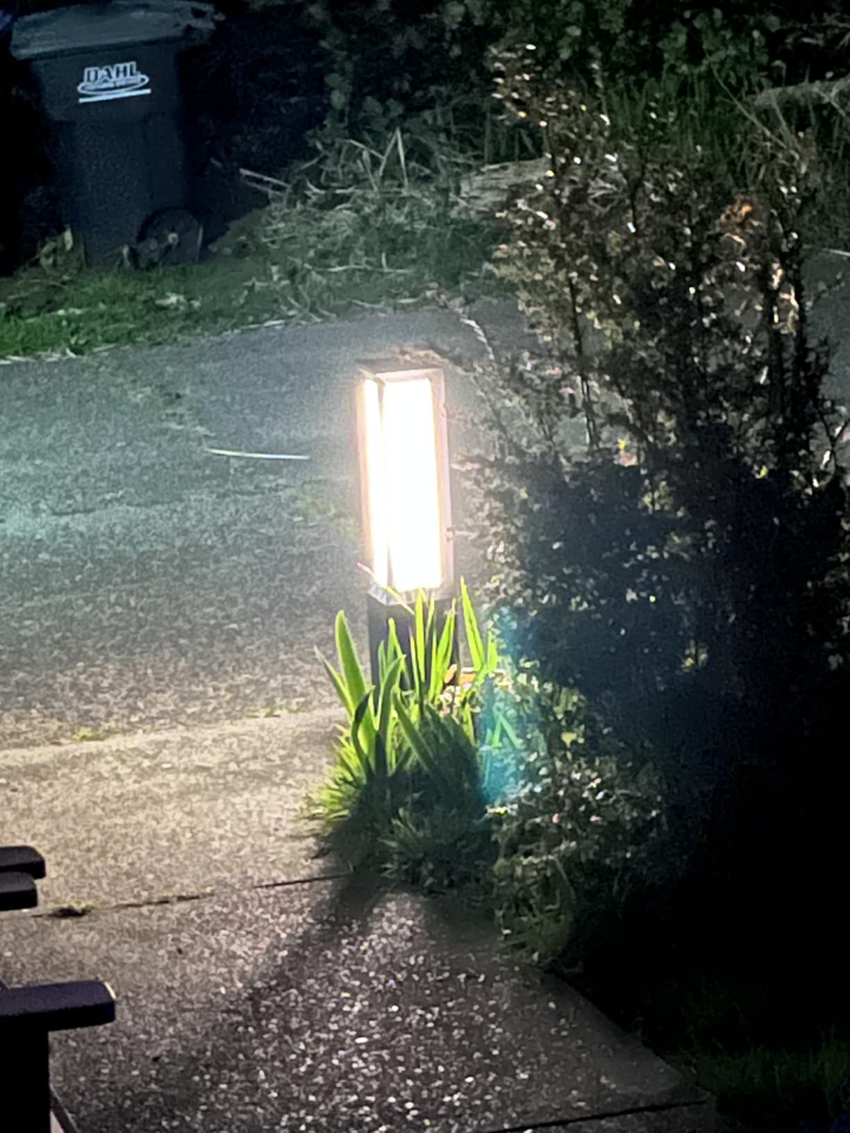 Solar Pathway Lights Outdoor, 31.5