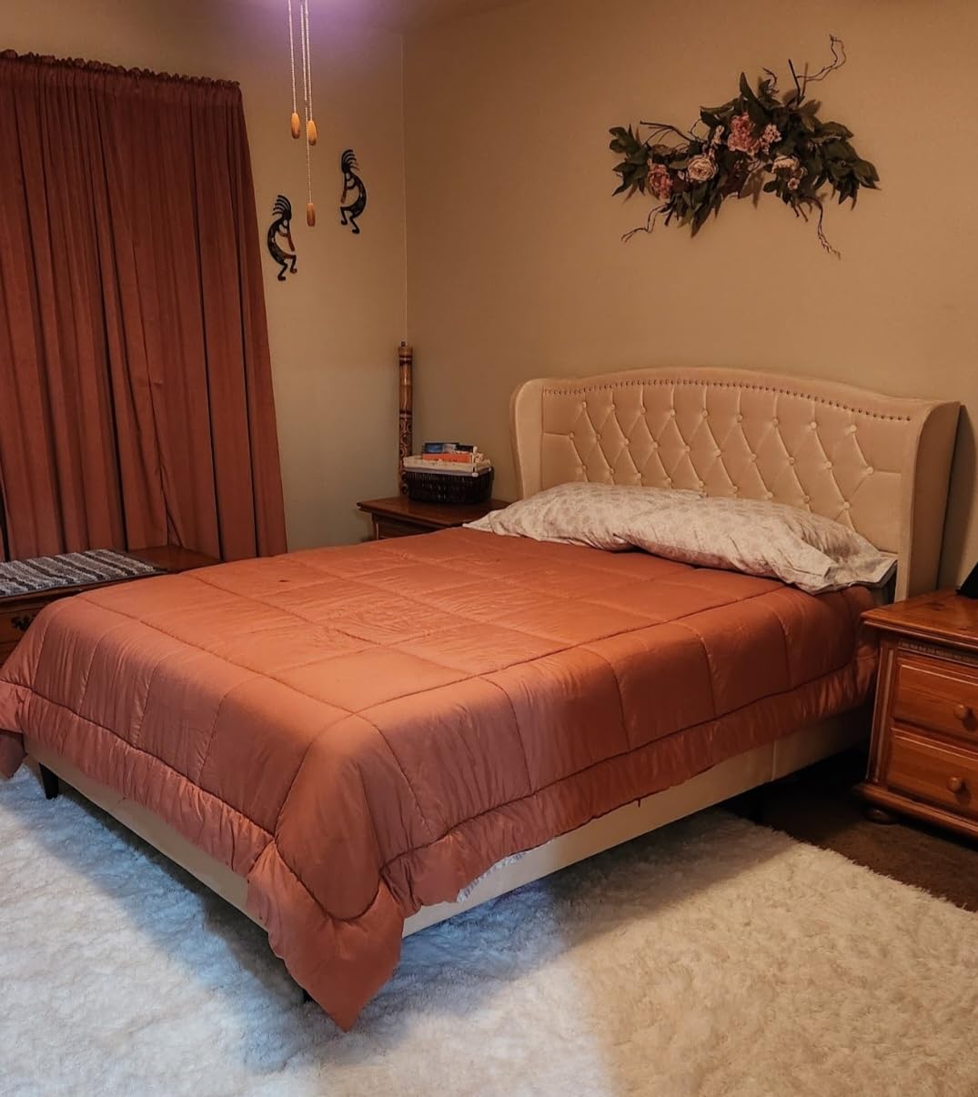 Bedsure Comforter Duvet Insert - Quilted Comforters King Size, All Season Duvet, GentleSoft Down Alternative Bedding, with 8 Tabs, Cream, King 90 x 102 Inches customer photo 2
