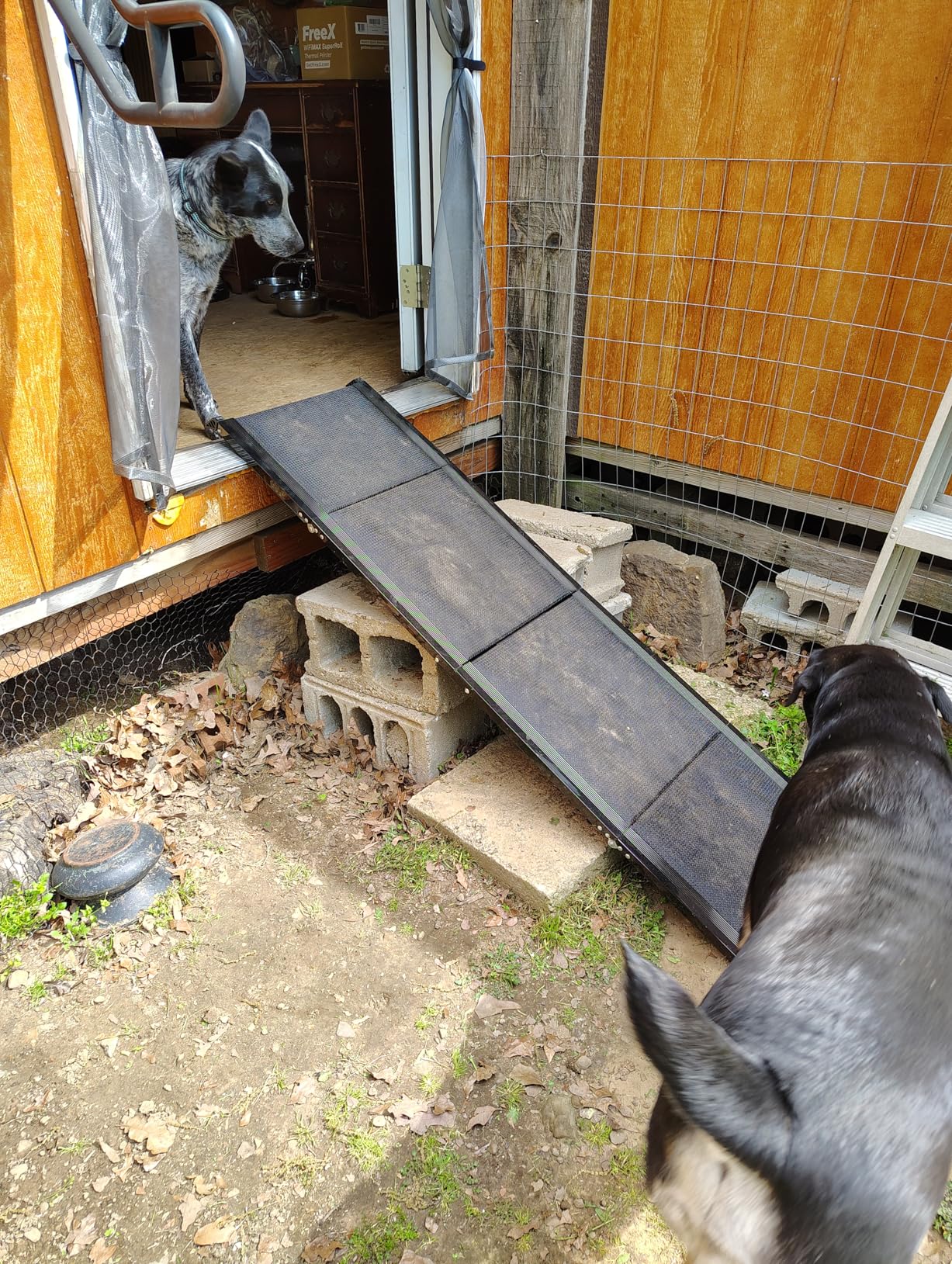 Dog Ramp, Dog Ramp for Car with Anti-Slip Surface, 63''x17.3'' Folding Pet Ramp for Large Dogs to Get on Truck SUV Van Up to 250LBS, Car Ramp for Dogs Dog Stairs for Bed Couch Outdoor Indoor customer photo 2