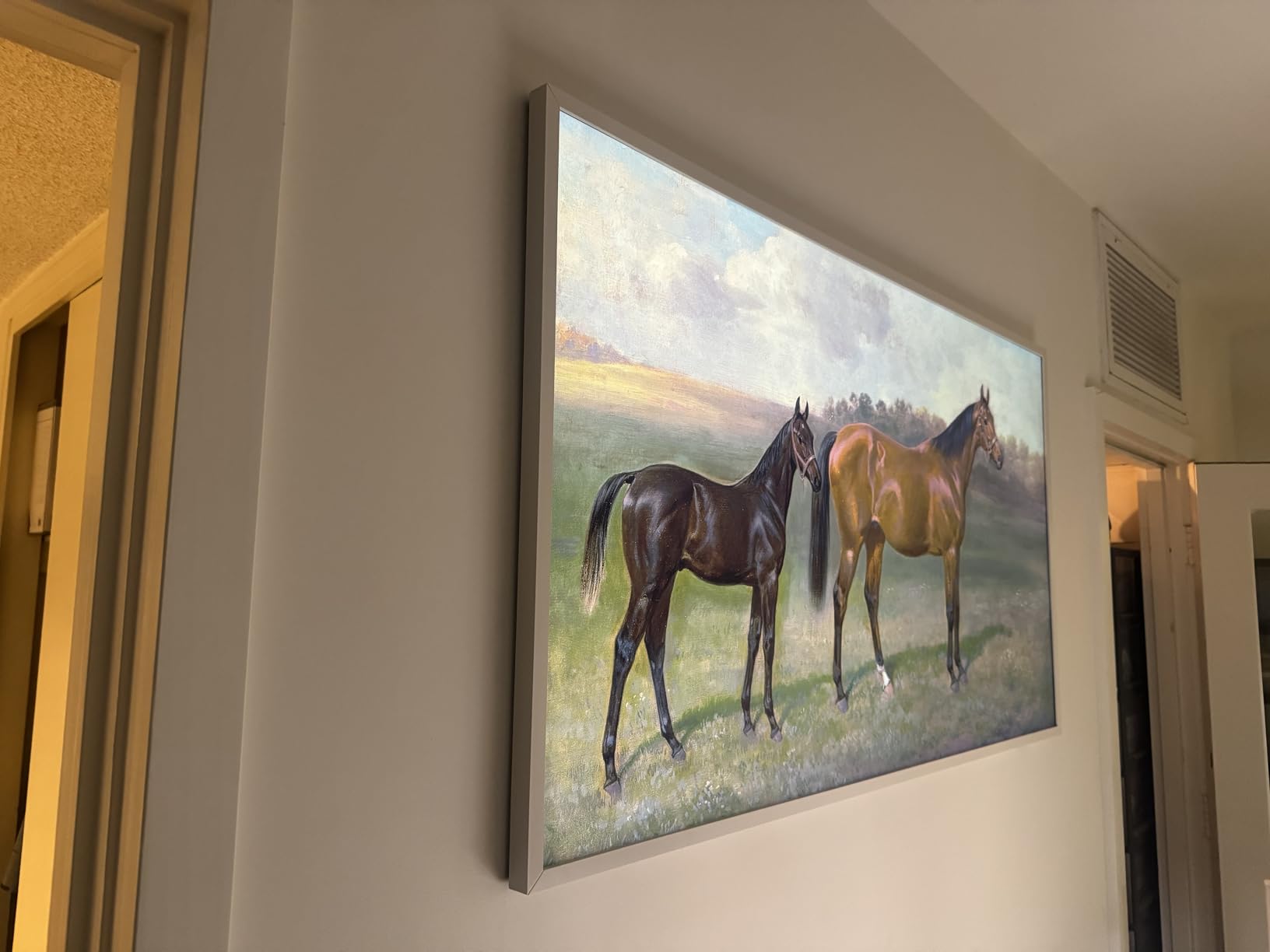 Samsung 43-Inch Class The Frame LS03F 4K QLED Smart TV (2025 Model) Slim Fit Wall Mount, Modern Frame Design, Art Mode, Artful Picture Quality, Samsung Vision AI customer photo 2