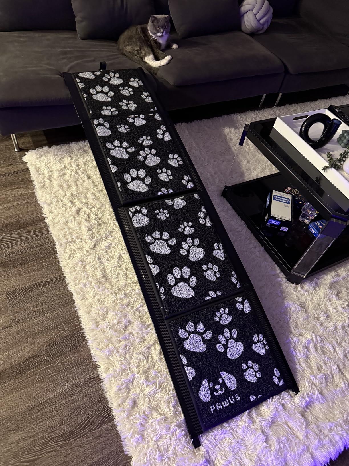 Dog Ramp for Car 71