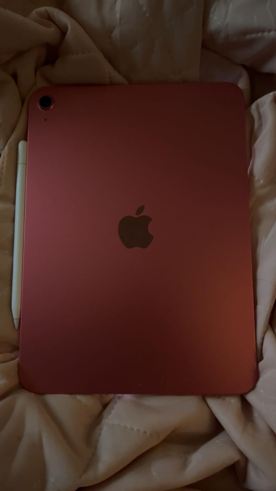 iPad 11-inch: A16 chip, 11-inch Model, Liquid Retina Display, 256GB, Wi-Fi 6, 12MP Front/12MP Back Camera, Touch ID, All-Day Battery Life - Blue customer photo 1