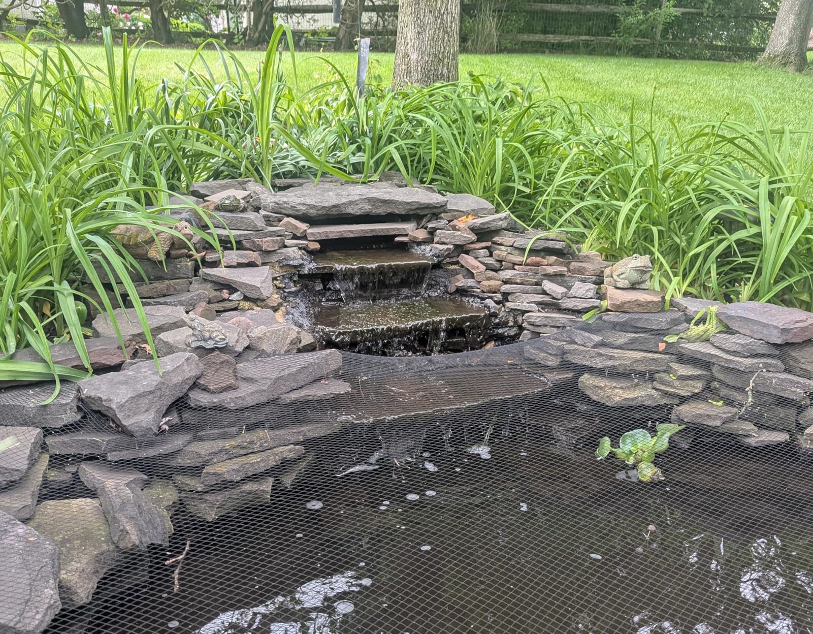 100W 1800 GPH Pond Pump for Koi Ponds & Water Feature, 14ft Lift, 180° Adjustable Outlet, Ultra-Quiet Fountain Pump, Waterfall Pump, Submersible Water Pump, Barrier Bag & 20FT Cord, UL Listed customer photo 2