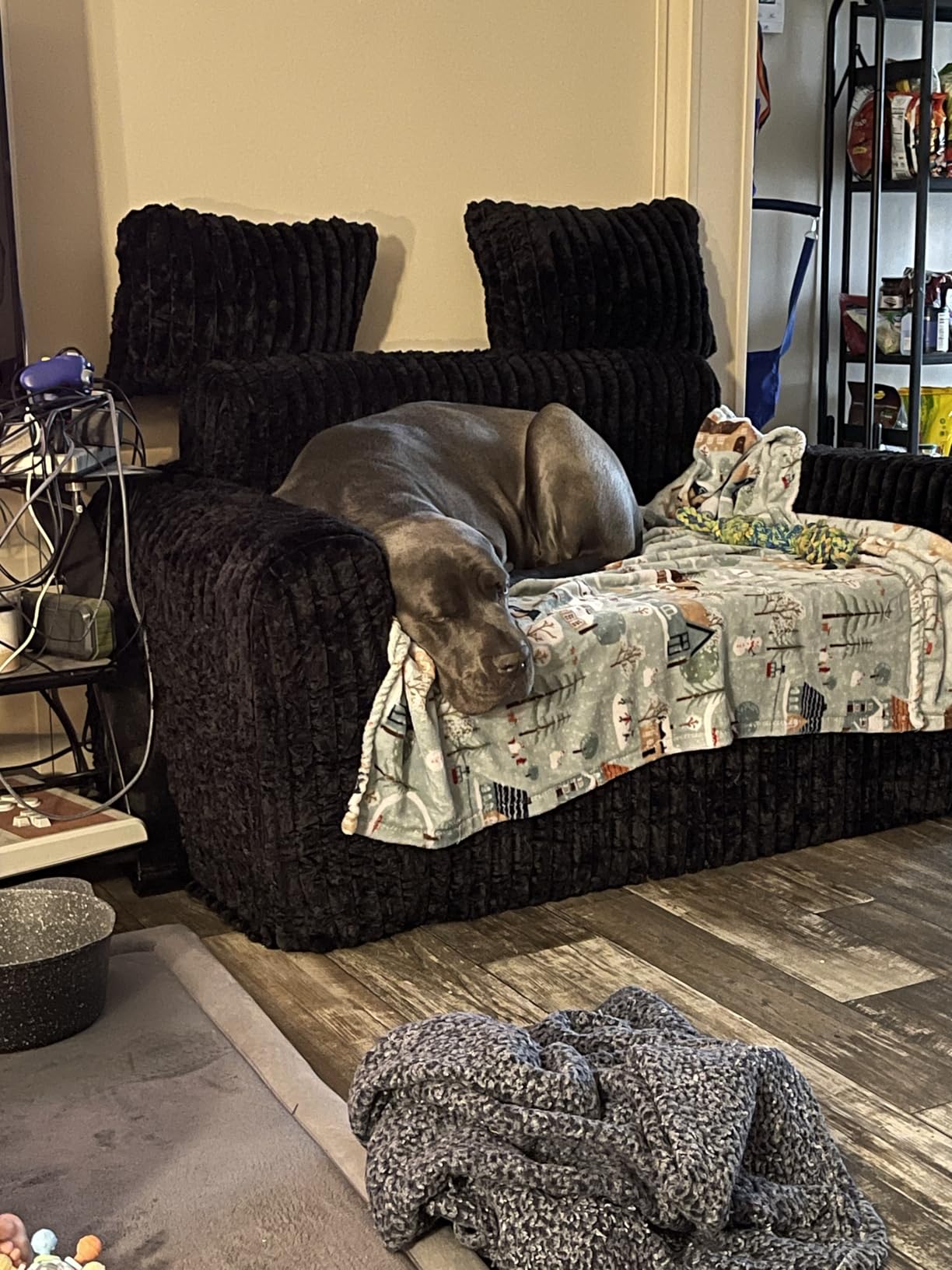 Hobestluk Couch Sofa 2-Seater Foam Sofa Loveseat for Small Spaces Comfy Sofas with Removable Cover Furry Couch with Pillows for Living Room, Bedroom, Apartment, Office (Dark Grey, Loveseat) customer photo 2