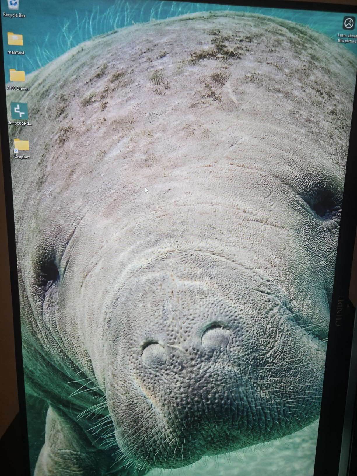 27 Inch Touchscreen Monitor, 10 Point Touch, FHD 1080P 60Hz Nano IPS Screen, 100% SRGB, VESA Wall Mountable, Tilt Adjustment, VGA HDMI for PC, Laptop Business & Work Station customer photo 2