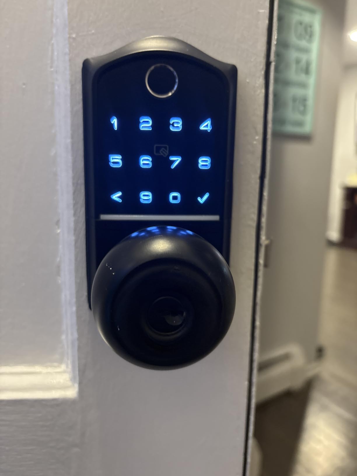 Veise VE018 Smart Knob Handle Lock - Fingerprint, App Control, Keyless Entry for Front Door and Bedroom, Electronic Digital Keypad, Auto Lock, Remote Access Sharing, IP55 Weatherproof, Satin Nickel customer photo 1