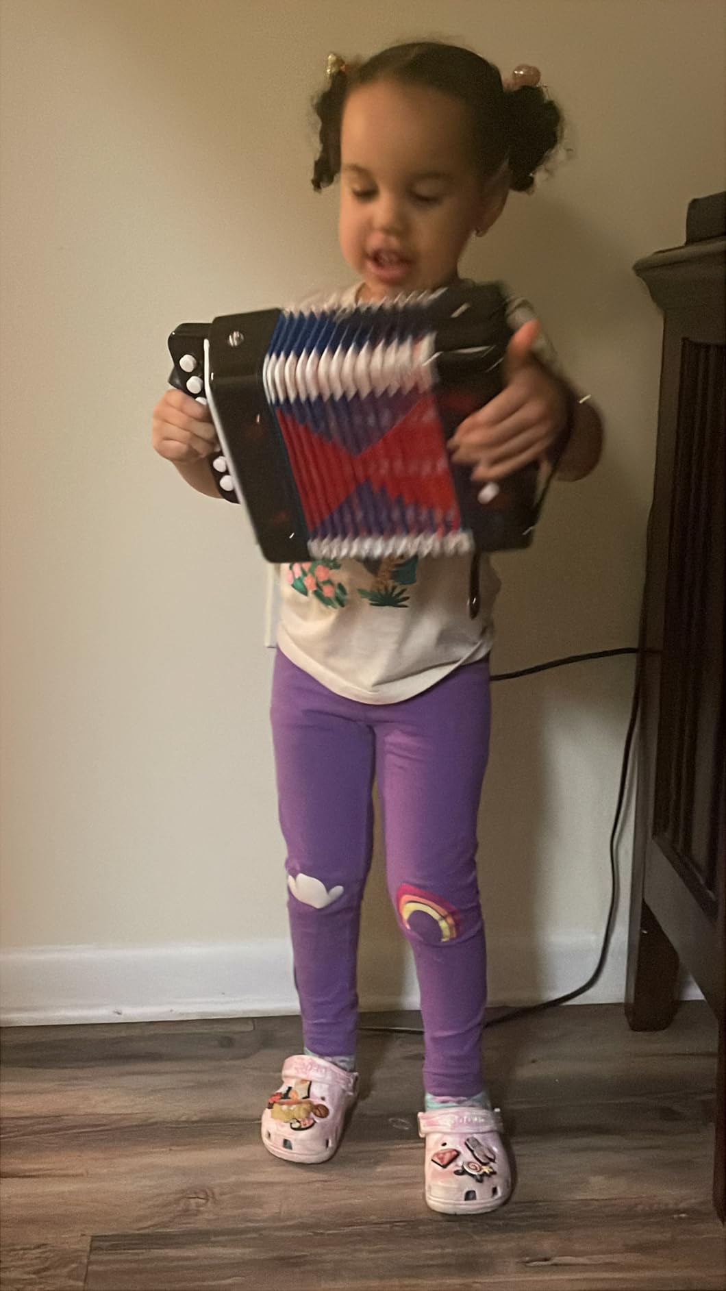 Lotkey 17 Key Piano Accordion, 8 Bass Kids Accordion, Celluloid Body, Metal Cover Accordions for Children, Beginners to Practice customer photo 1